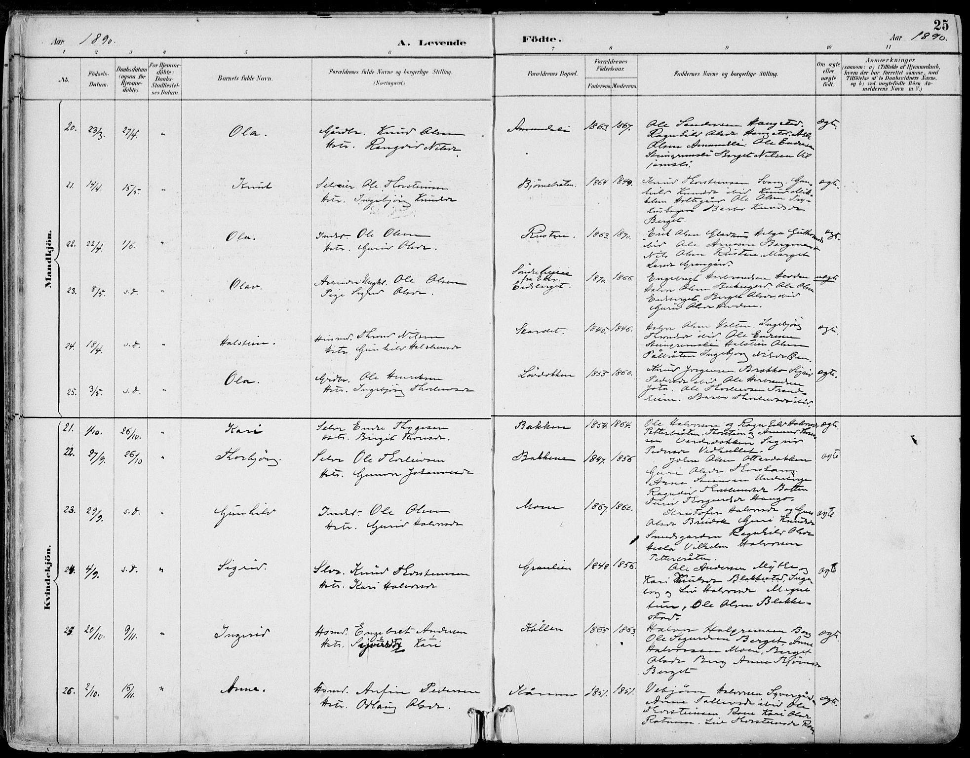 Gol kirkebøker, SAKO/A-226/F/Fa/L0005: Parish register (official) no. I 5, 1887-1900, p. 25