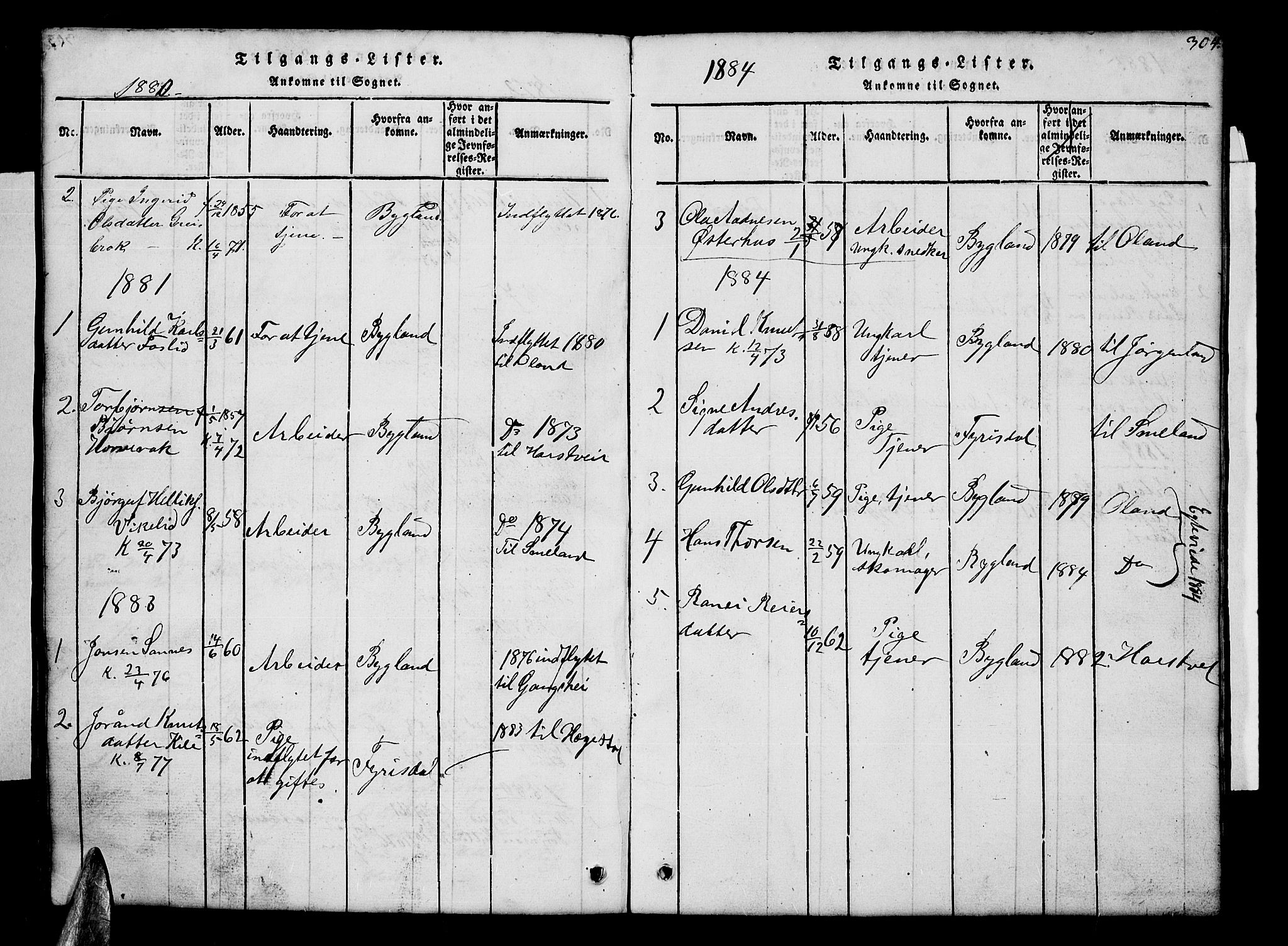 Åmli sokneprestkontor, AV/SAK-1111-0050/F/Fb/Fba/L0001: Parish register (copy) no. B 1, 1816-1890, p. 304