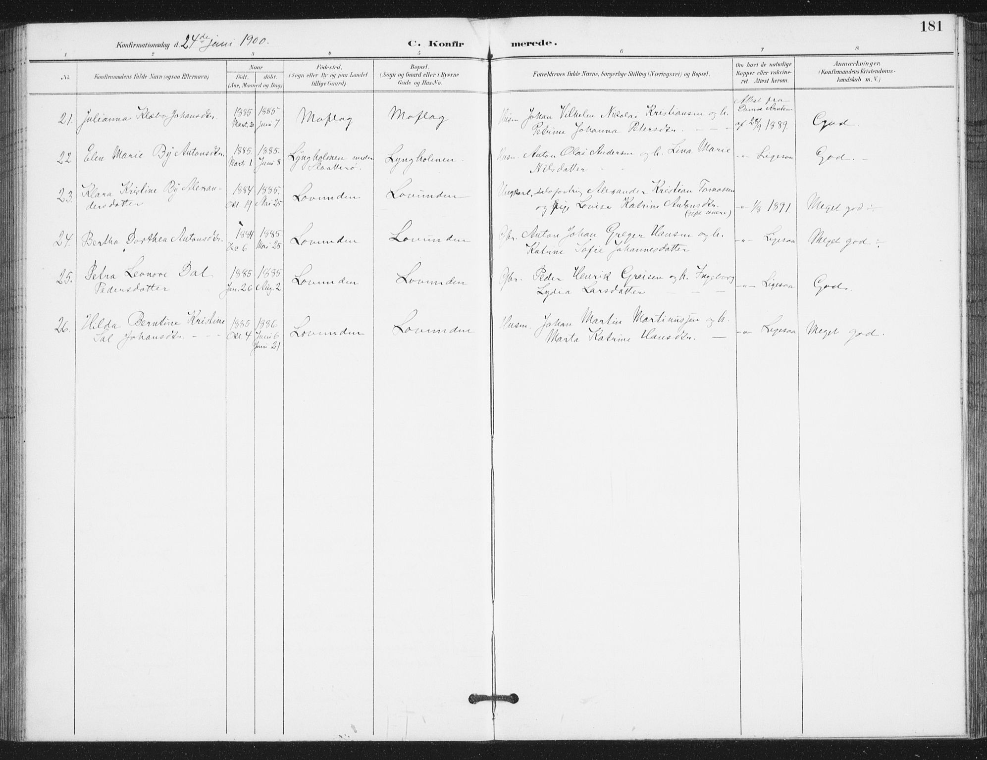 Ministerialprotokoller, klokkerbøker og fødselsregistre - Nordland, AV/SAT-A-1459/839/L0573: Parish register (copy) no. 839C03, 1892-1917, p. 181