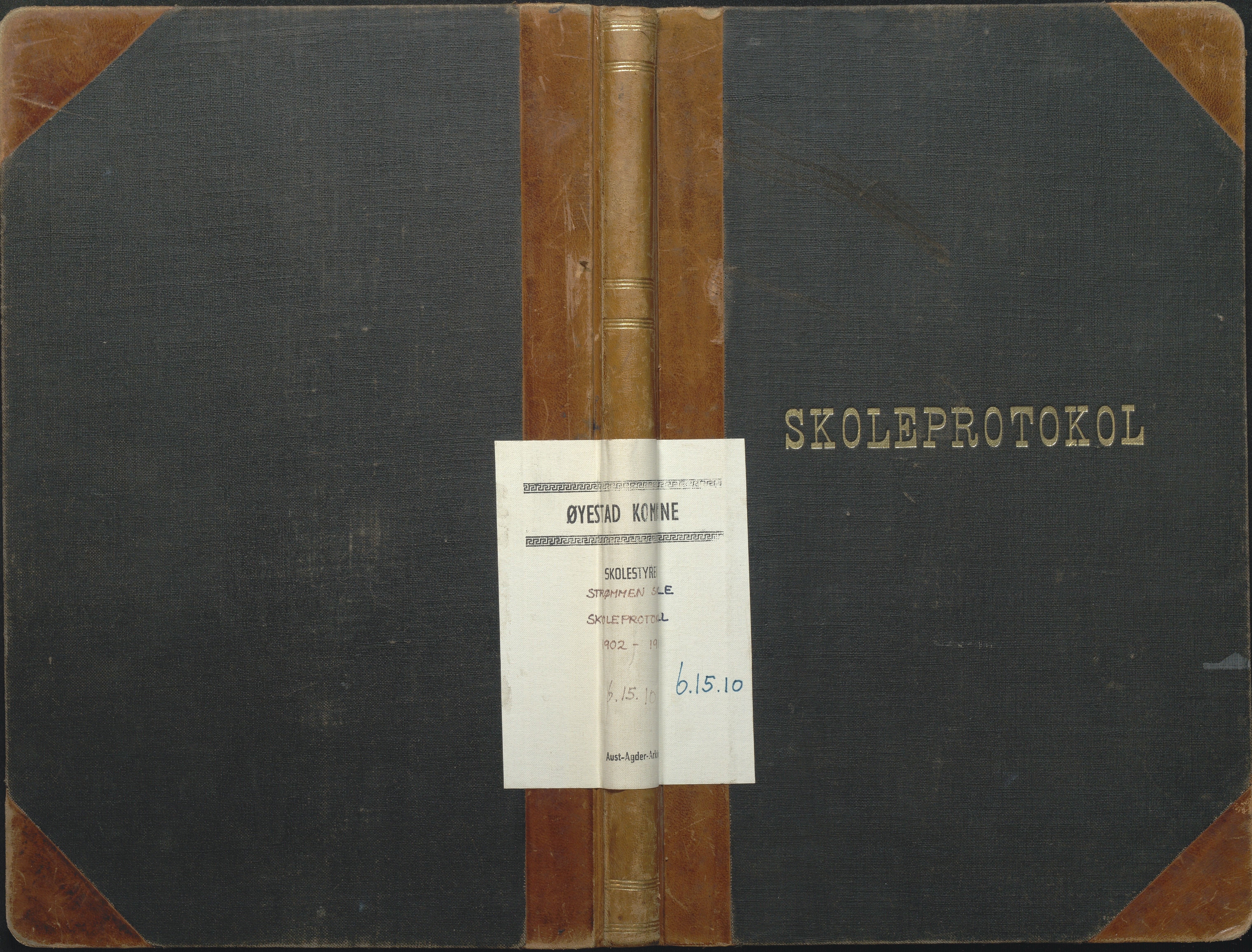 Øyestad kommune frem til 1979, AAKS/KA0920-PK/06/06G/L0010: Skoleprotokoll, 1902-1910