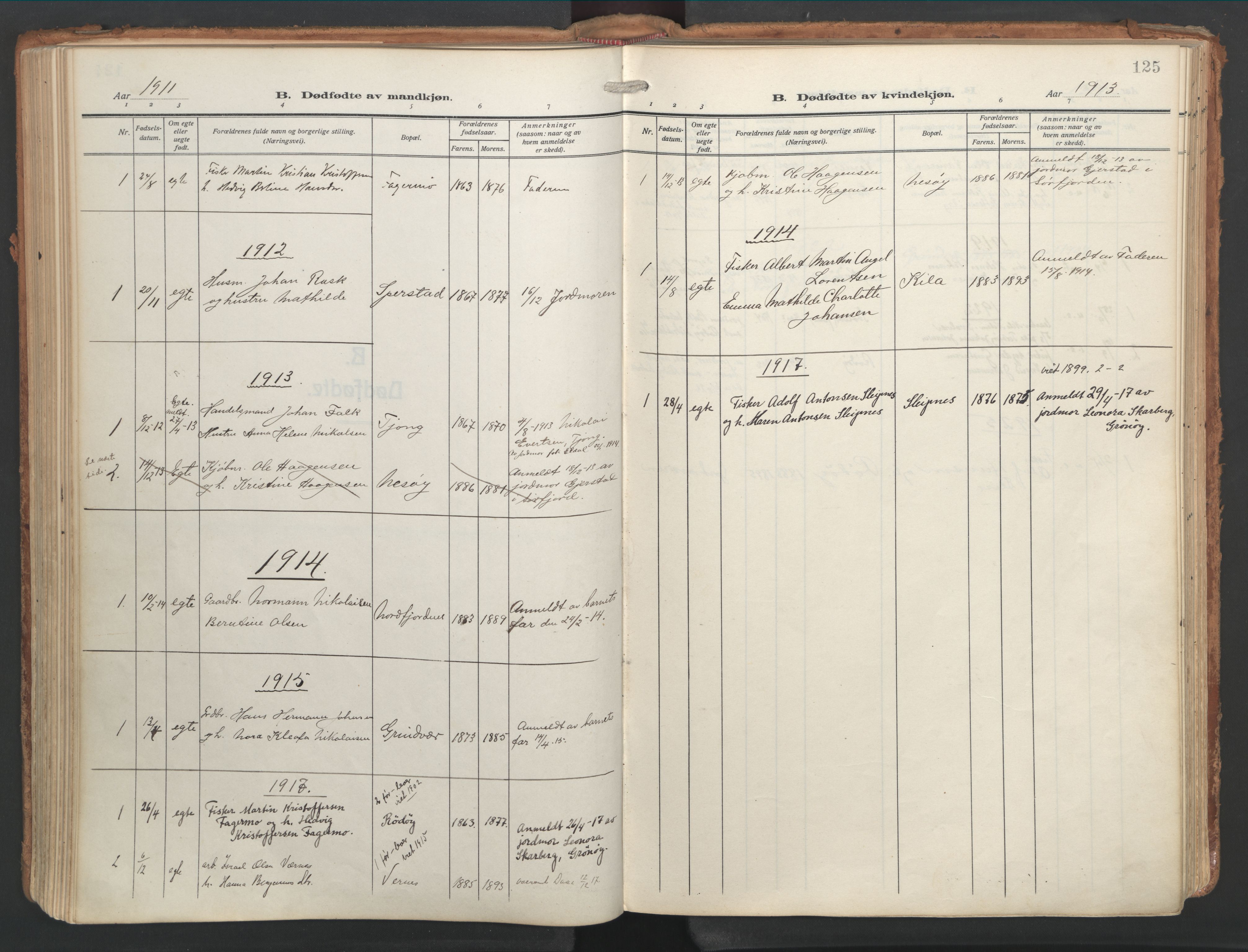 Ministerialprotokoller, klokkerbøker og fødselsregistre - Nordland, SAT/A-1459/841/L0614: Parish register (official) no. 841A17, 1911-1925, p. 125