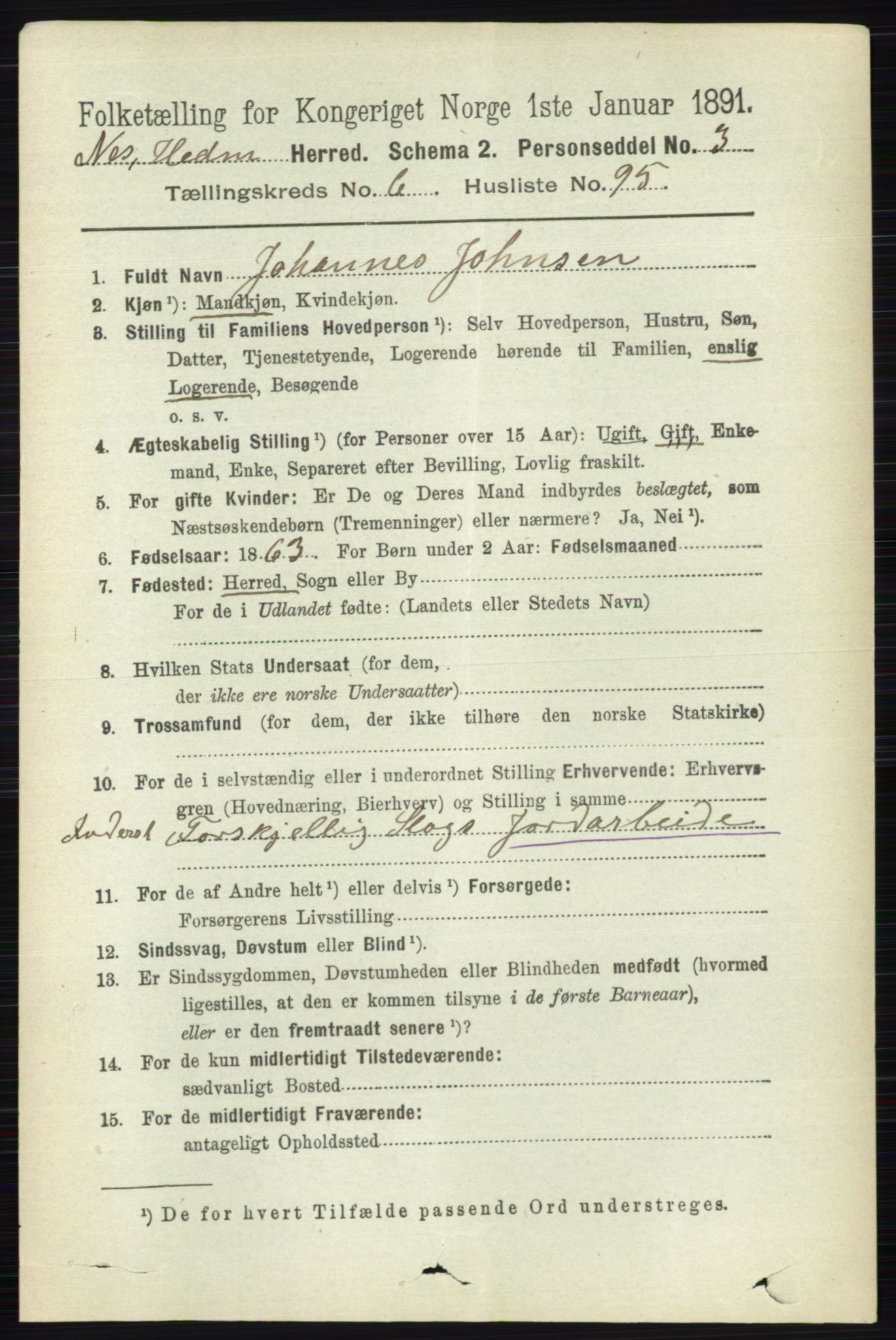 RA, 1891 census for 0411 Nes, 1891, p. 3824