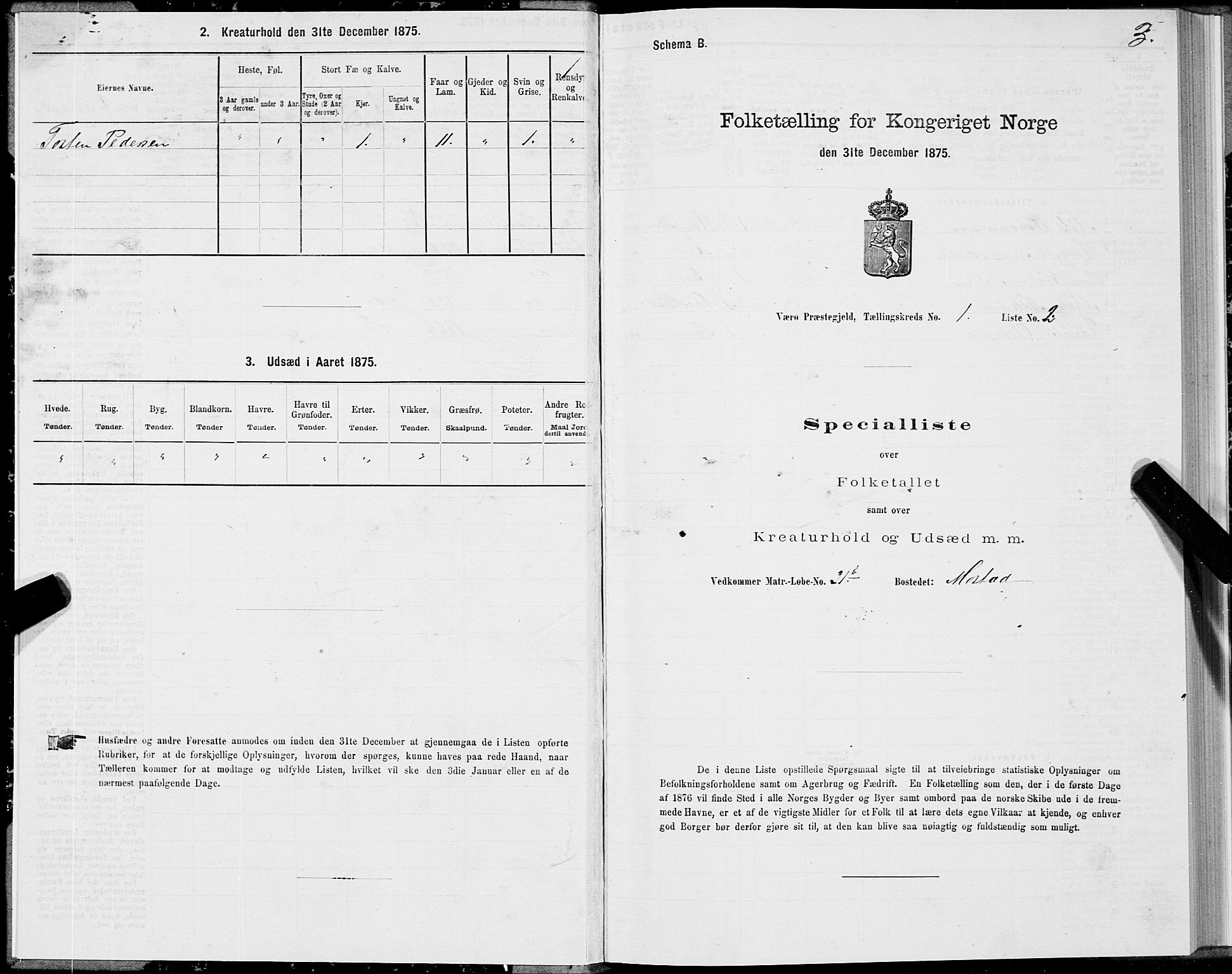 SAT, 1875 census for 1857P Værøy, 1875, p. 1003