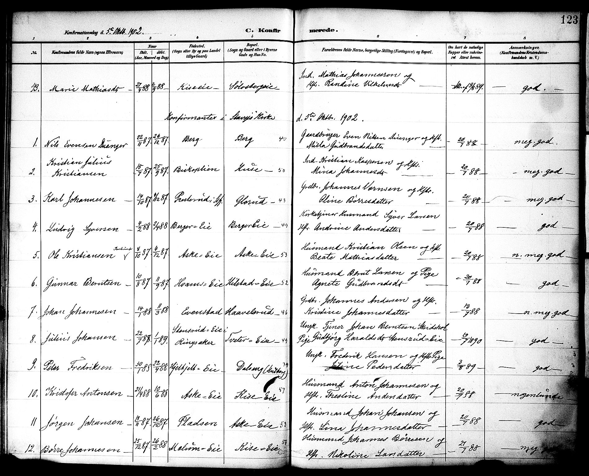 Nes prestekontor, Hedmark, AV/SAH-PREST-020/K/Ka/L0010: Parish register (official) no. 10, 1887-1905, p. 123