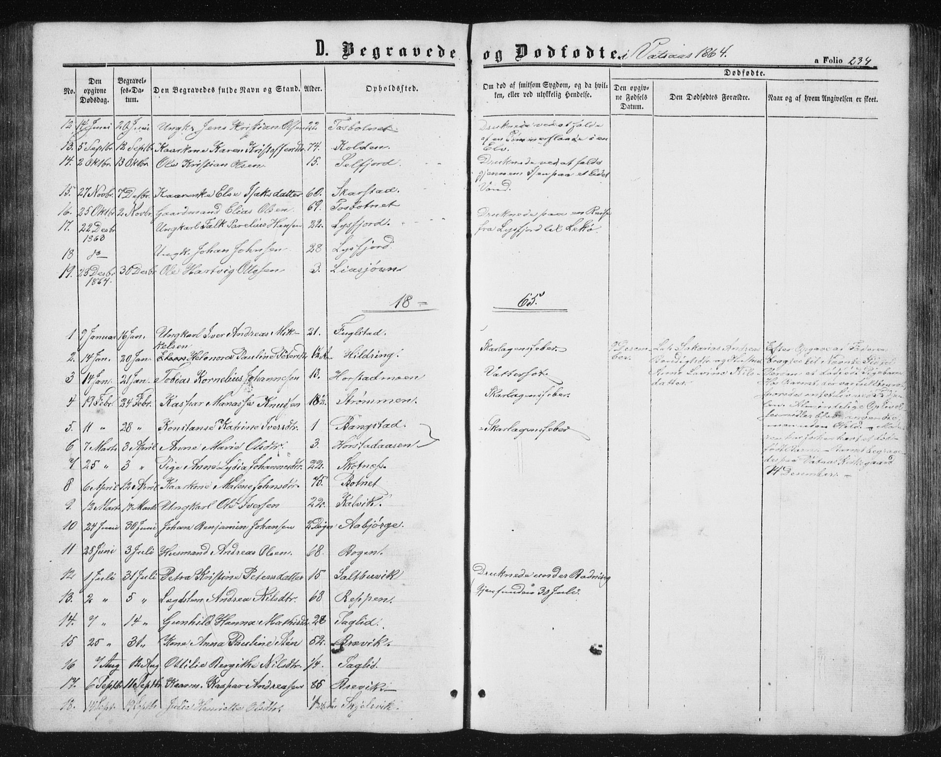 Ministerialprotokoller, klokkerbøker og fødselsregistre - Nordland, AV/SAT-A-1459/810/L0158: Parish register (copy) no. 810C02 /1, 1863-1883, p. 234