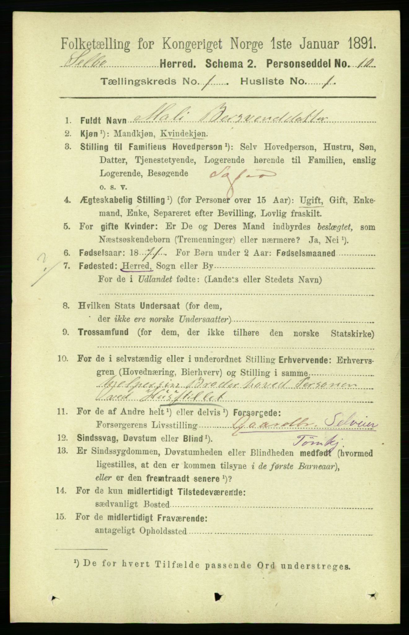 RA, 1891 census for 1664 Selbu, 1891, p. 74