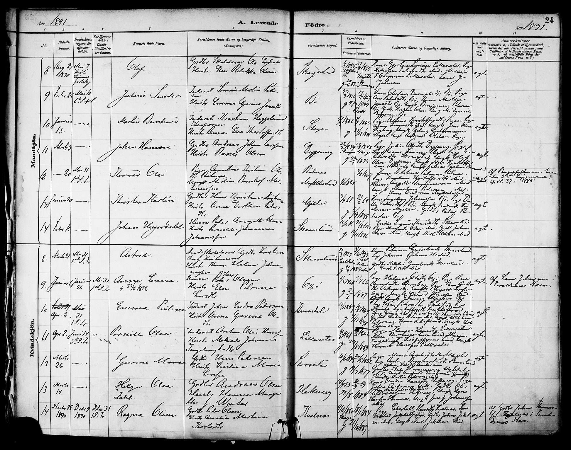 Ministerialprotokoller, klokkerbøker og fødselsregistre - Nordland, AV/SAT-A-1459/855/L0803: Parish register (official) no. 855A11, 1887-1905, p. 24