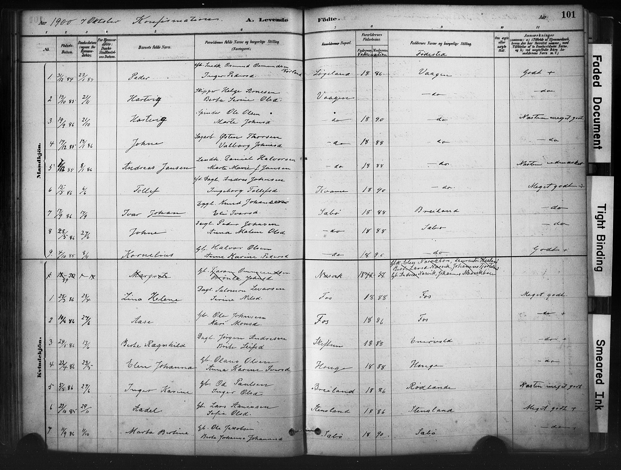 Hjelmeland sokneprestkontor, AV/SAST-A-101843/01/IV/L0014: Parish register (official) no. A 14, 1879-1900, p. 101