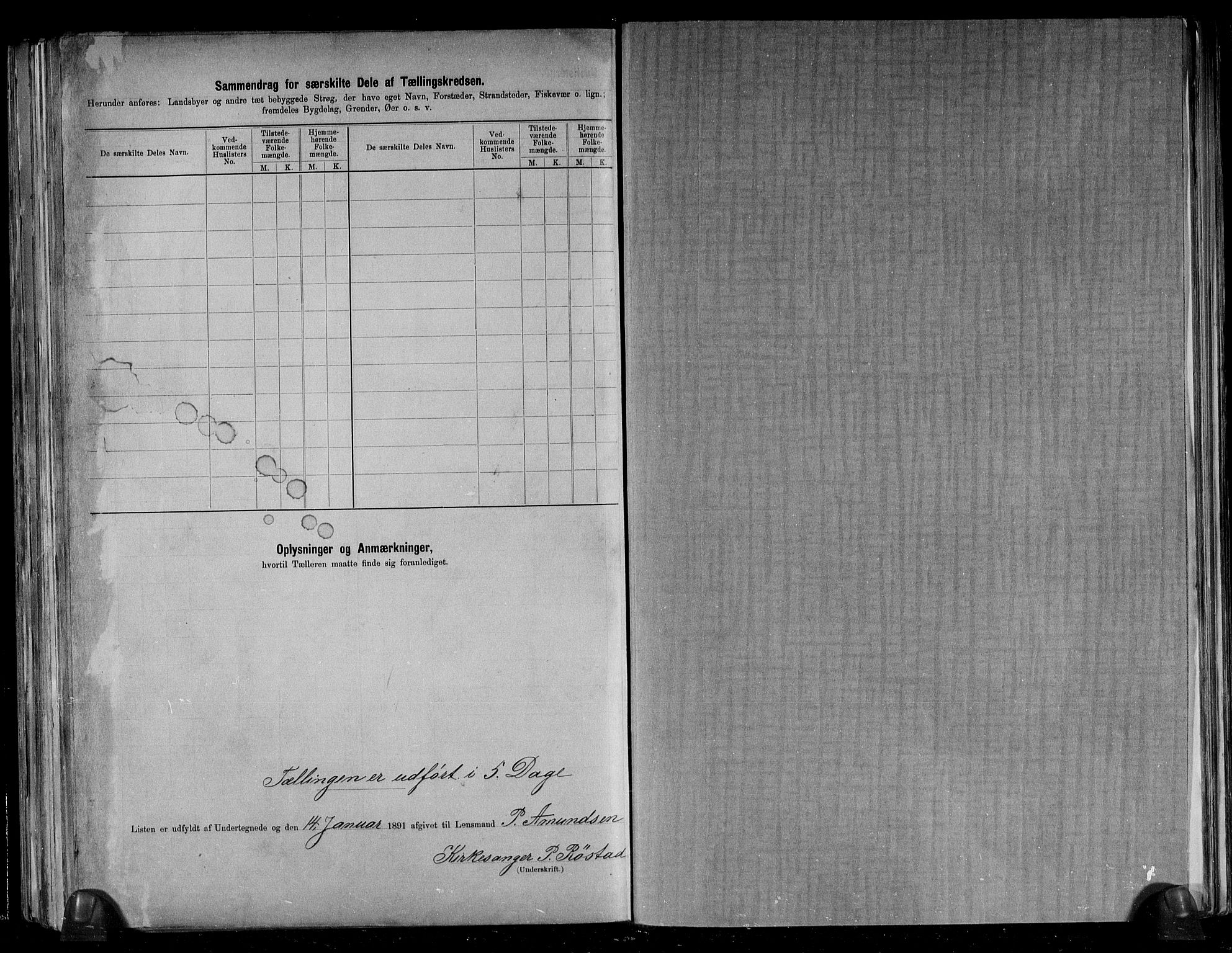 RA, 1891 census for 1660 Strinda, 1891, p. 40