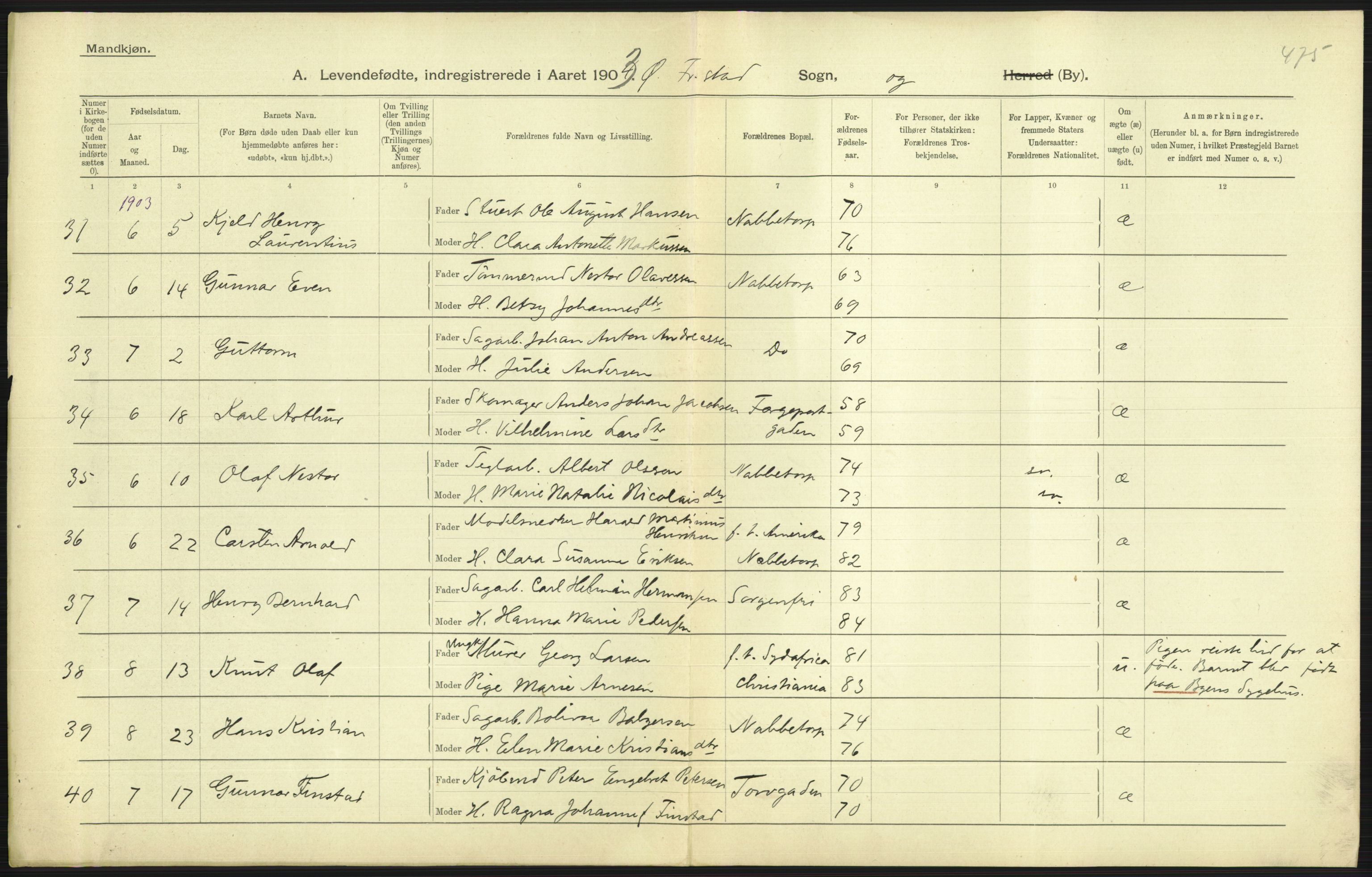 Statistisk sentralbyrå, Sosiodemografiske emner, Befolkning, AV/RA-S-2228/D/Df/Dfa/Dfaa/L0001: Smålenenes amt: Fødte, gifte, døde, 1903, p. 495