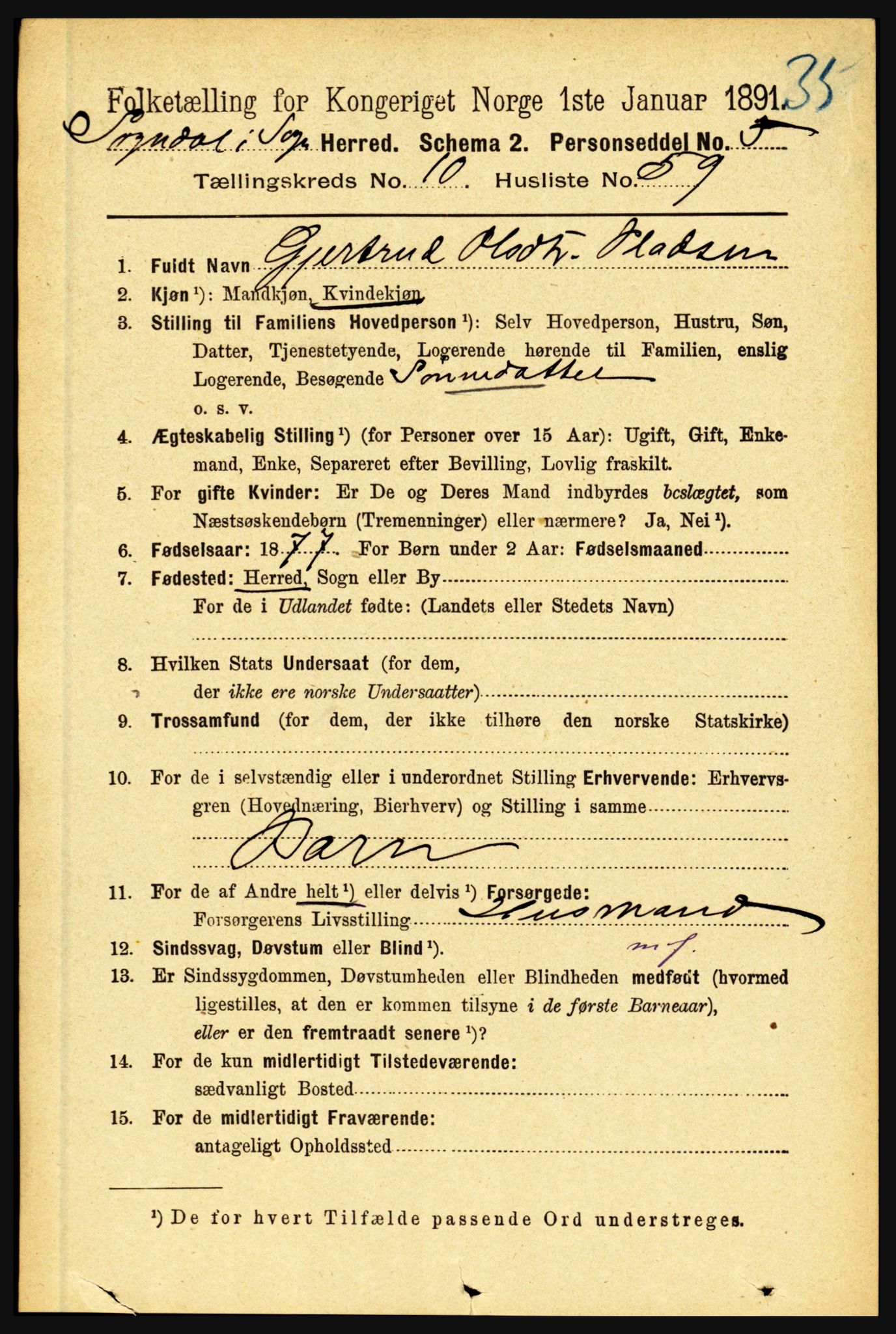 RA, 1891 census for 1420 Sogndal, 1891, p. 4316