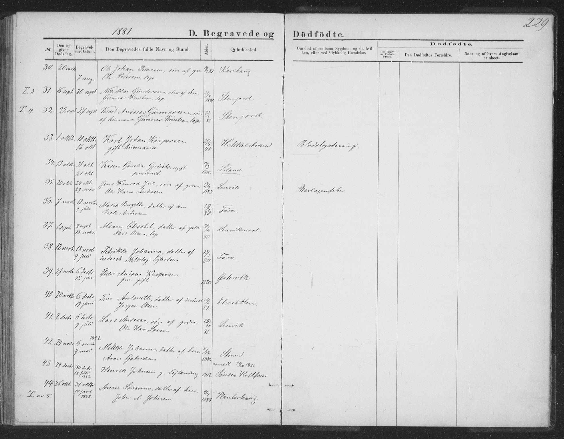 Ministerialprotokoller, klokkerbøker og fødselsregistre - Nordland, AV/SAT-A-1459/863/L0913: Parish register (copy) no. 863C03, 1877-1885, p. 229