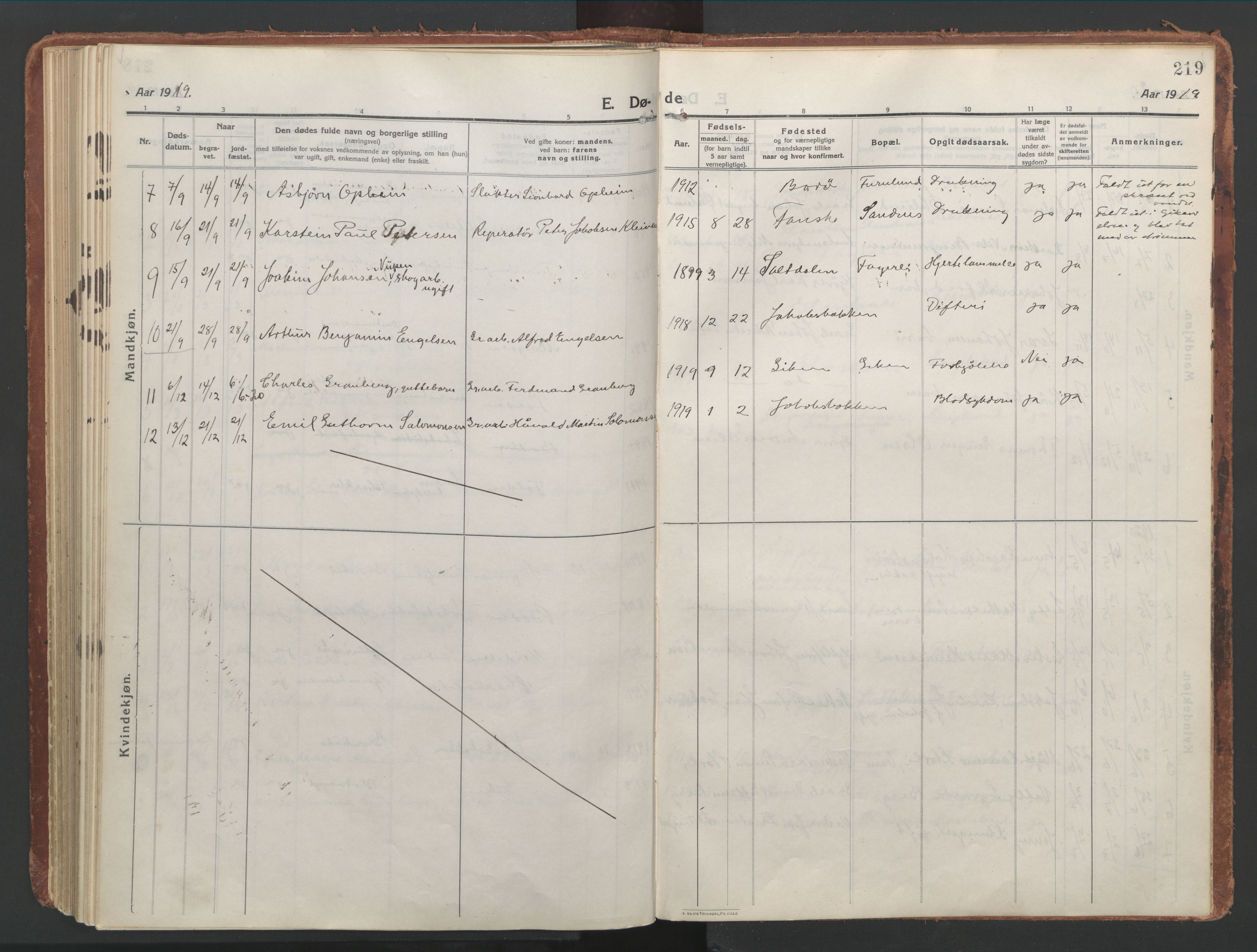 Ministerialprotokoller, klokkerbøker og fødselsregistre - Nordland, AV/SAT-A-1459/850/L0715: Curate's parish register no. 850B05, 1913-1924, p. 219