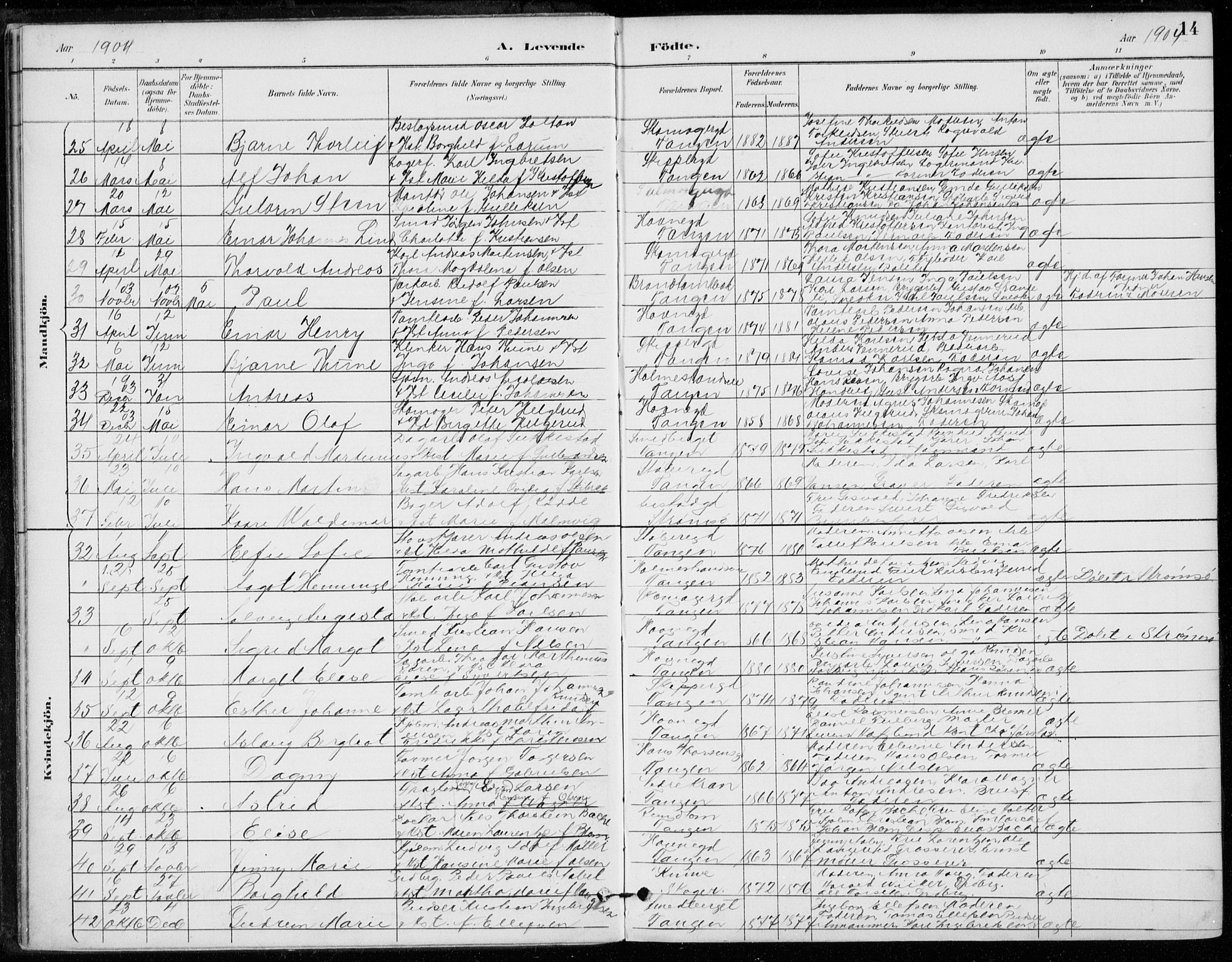 Strømsø kirkebøker, SAKO/A-246/F/Fb/L0007: Parish register (official) no. II 7, 1887-1928, p. 14