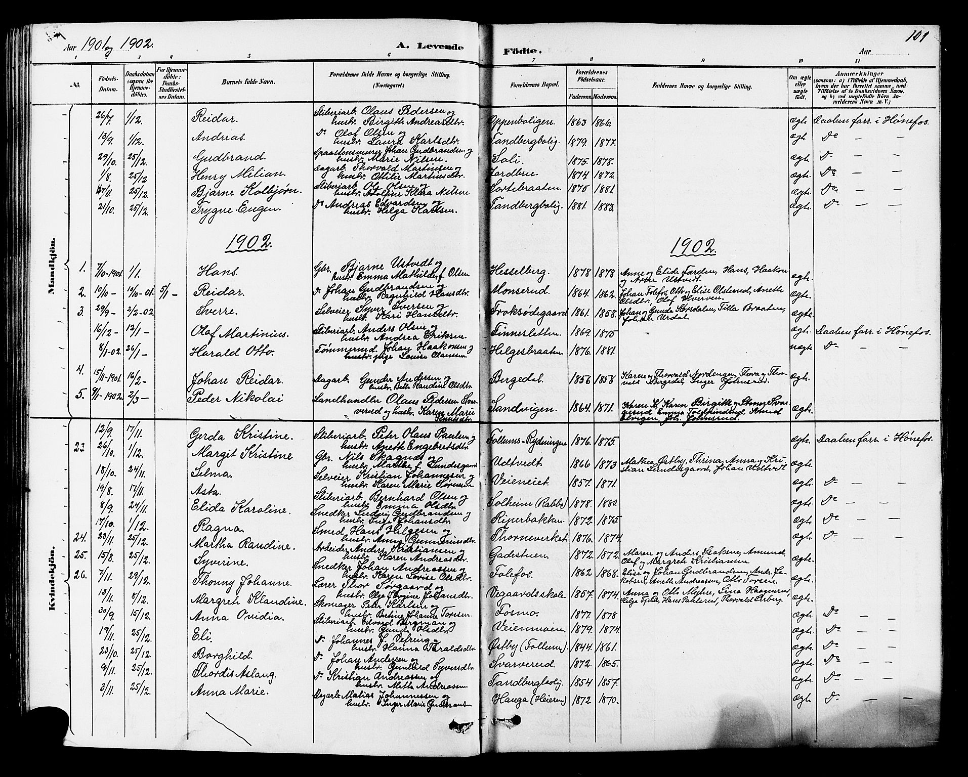 Norderhov kirkebøker, AV/SAKO-A-237/G/Ga/L0008: Parish register (copy) no. I 8, 1887-1912, p. 101