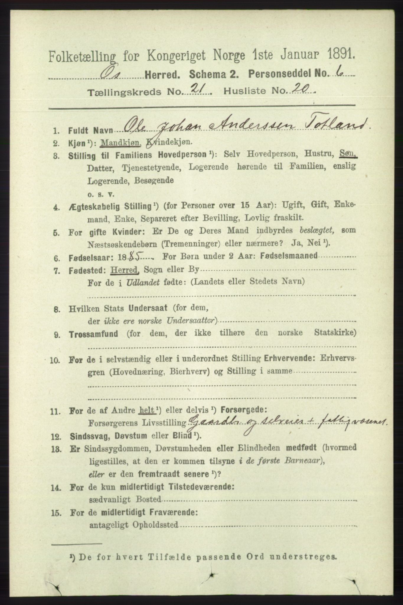 RA, 1891 census for 1243 Os, 1891, p. 4982