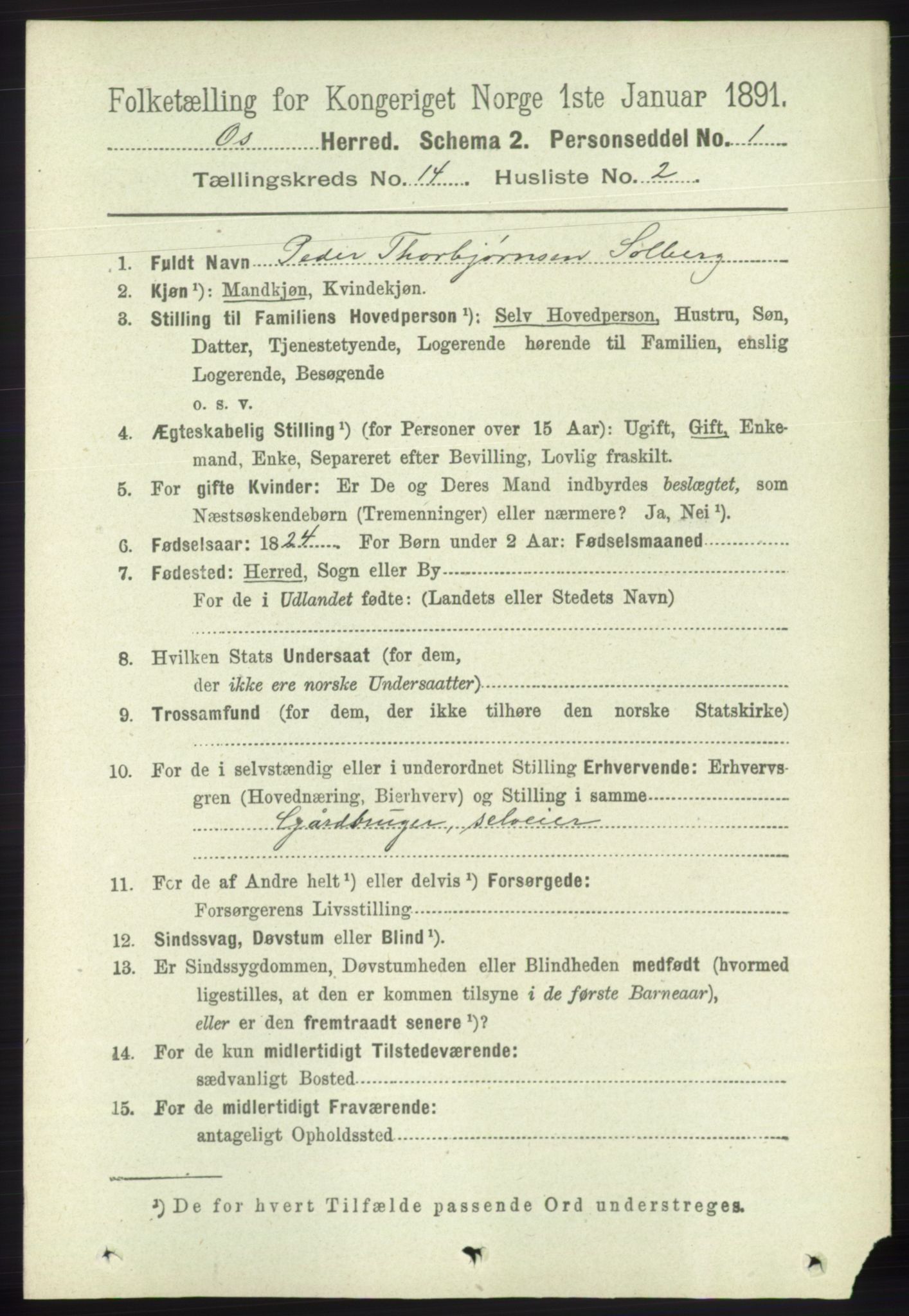 RA, 1891 census for 1243 Os, 1891, p. 3095