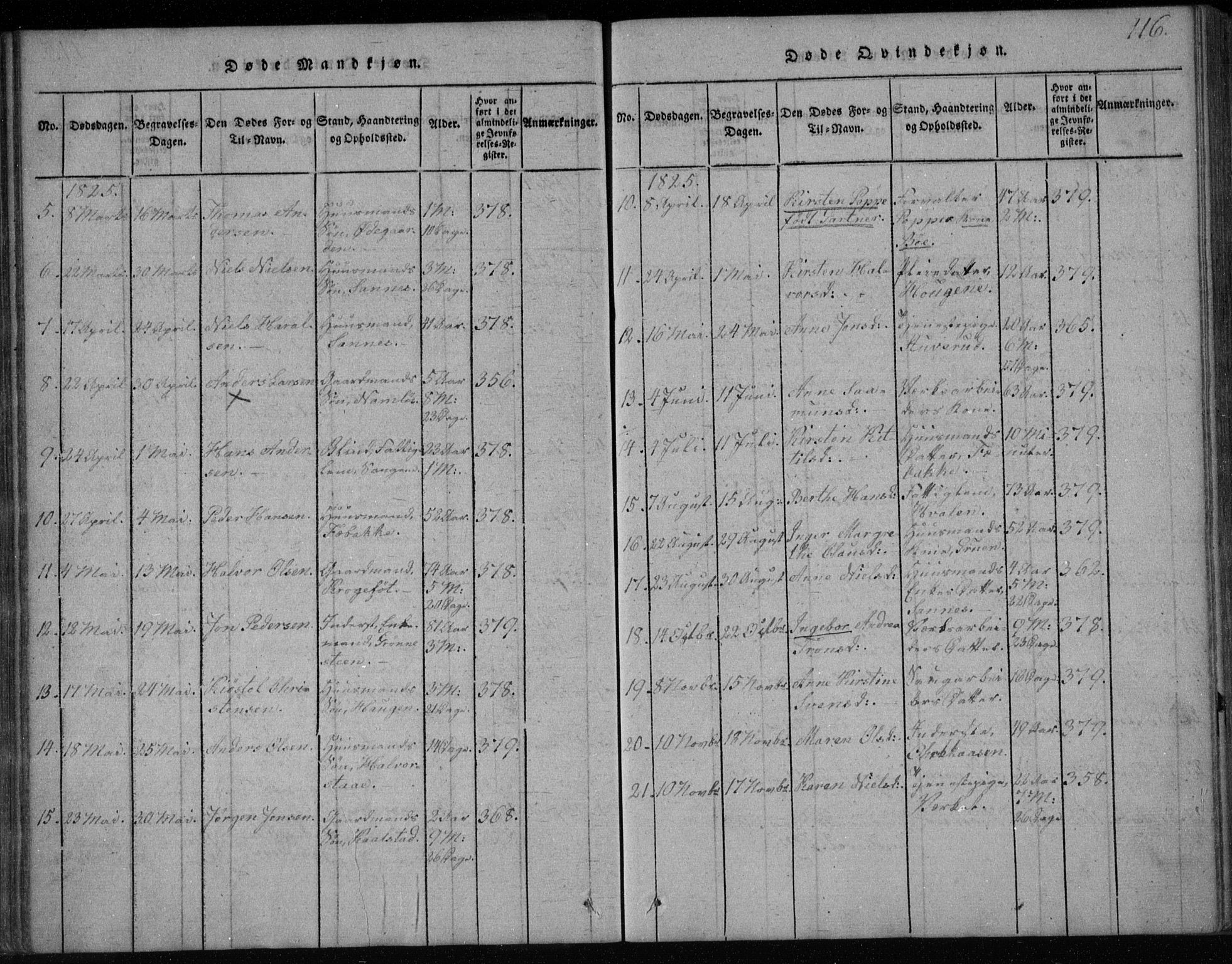 Holla kirkebøker, SAKO/A-272/F/Fa/L0003: Parish register (official) no. 3, 1815-1830, p. 116