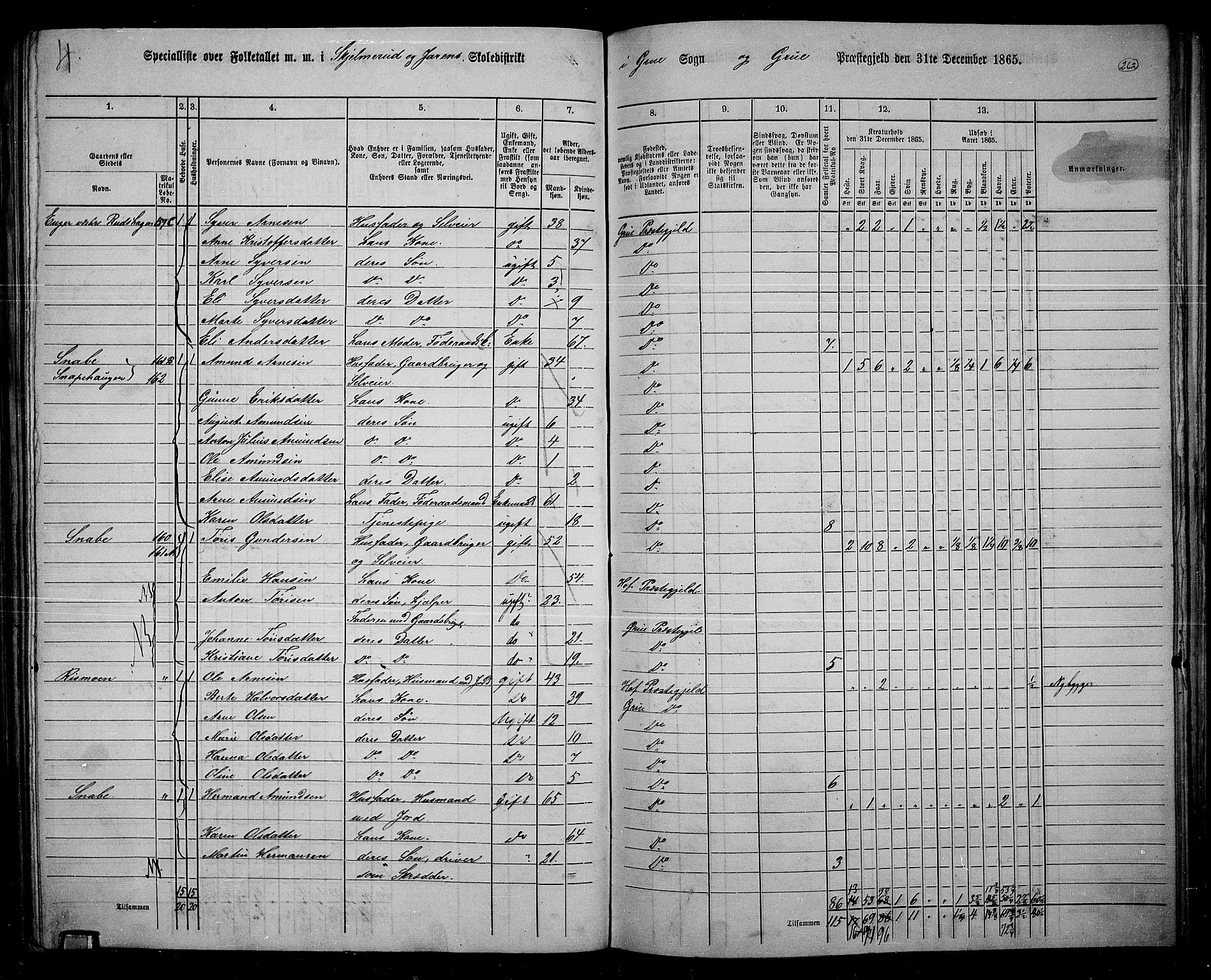 RA, 1865 census for Grue, 1865, p. 231