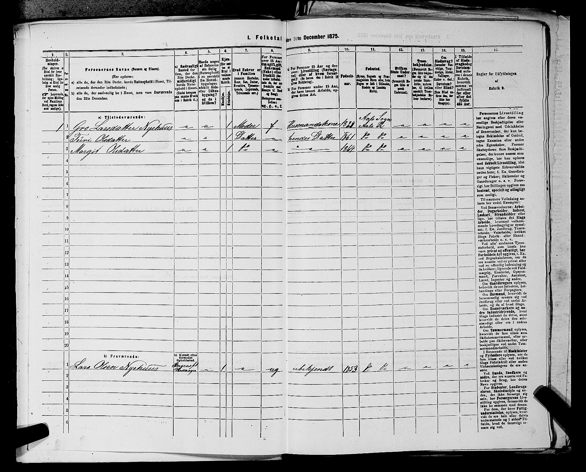 SAKO, 1875 census for 0619P Ål, 1875, p. 817
