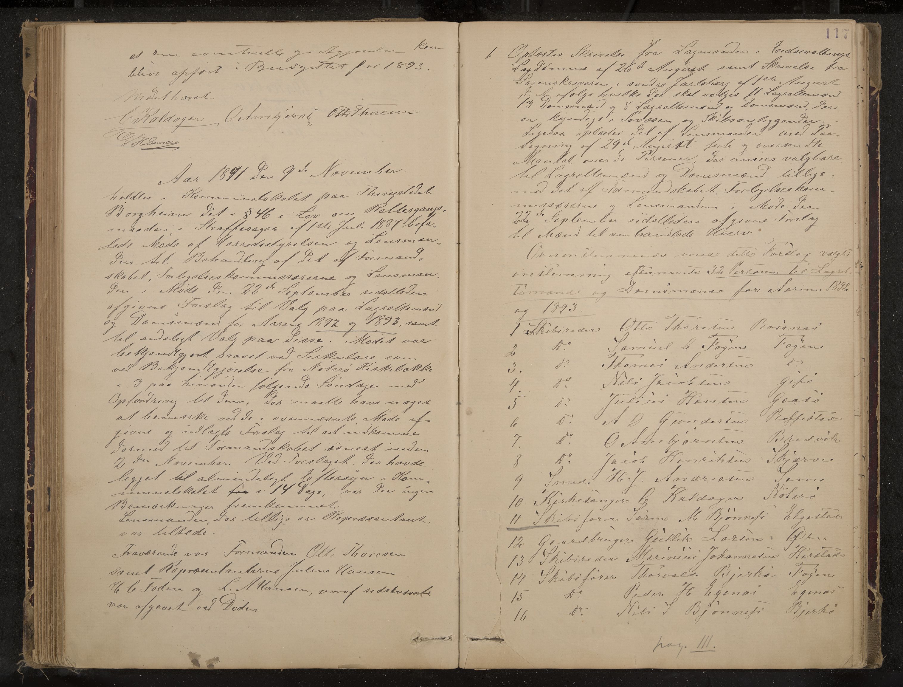 Nøtterøy formannskap og sentraladministrasjon, IKAK/0722021-1/A/Aa/L0004: Møtebok, 1887-1896, p. 117