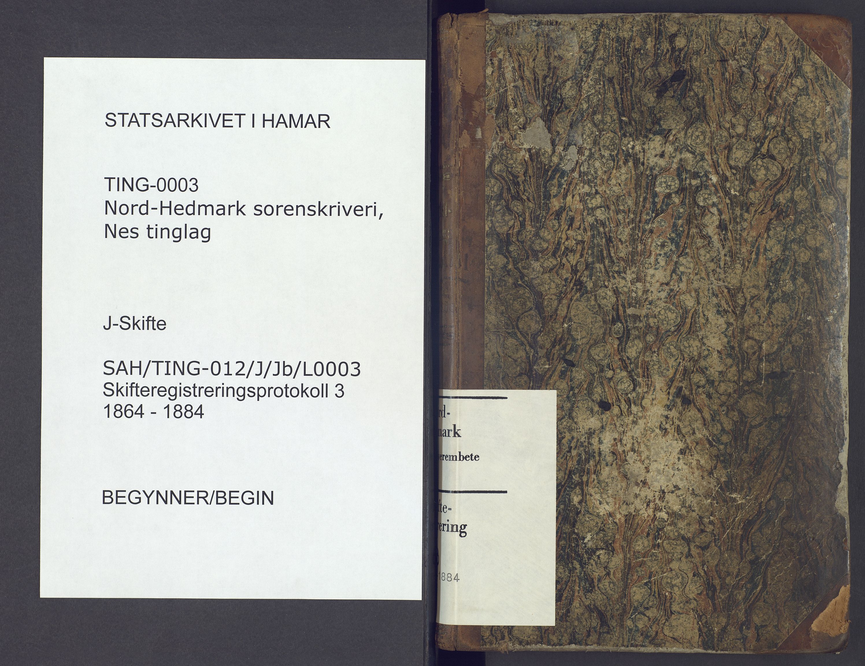 Nord-Hedmark sorenskriveri, AV/SAH-TING-012/J/Jb/L0003: Skifteregistreringsprotokoll - Nes, 1864-1884