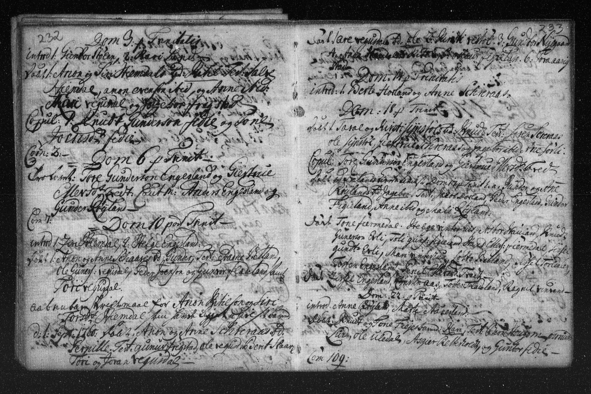 Herefoss sokneprestkontor, AV/SAK-1111-0019/F/Fa/Fab/L0001: Parish register (official) no. A 1, 1704-1779, p. 232-233