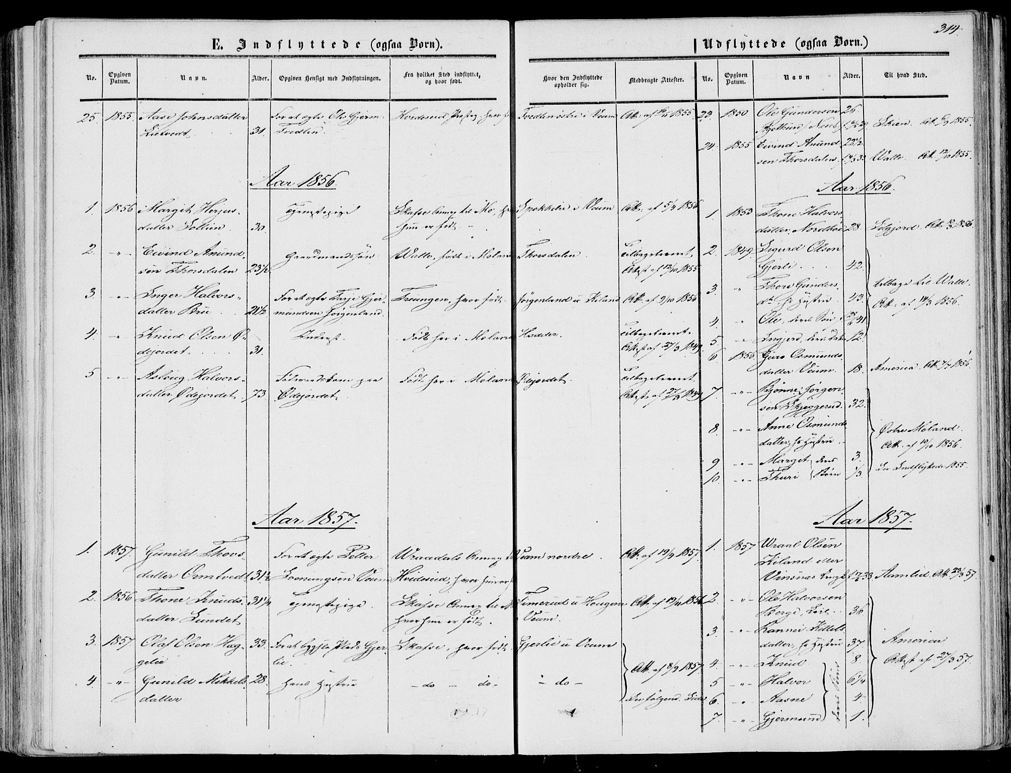 Fyresdal kirkebøker, SAKO/A-263/F/Fa/L0005: Parish register (official) no. I 5, 1855-1871, p. 314