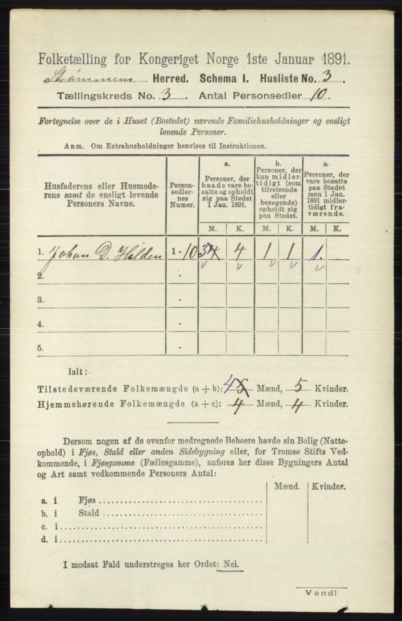 RA, 1891 census for 0711 Strømm, 1891, p. 990