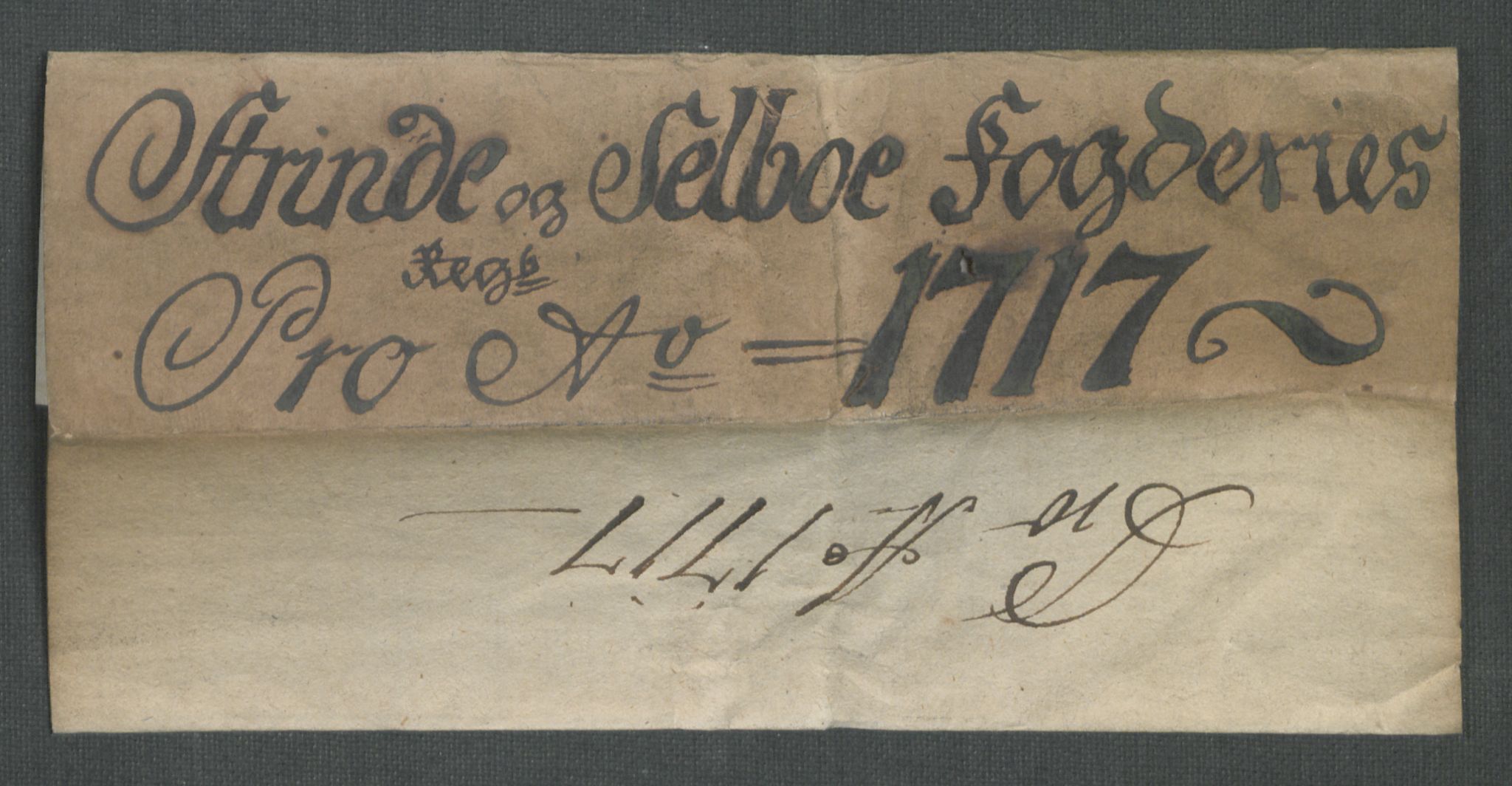 Rentekammeret inntil 1814, Reviderte regnskaper, Fogderegnskap, AV/RA-EA-4092/R61/L4116: Fogderegnskap Strinda og Selbu, 1717-1718, p. 4