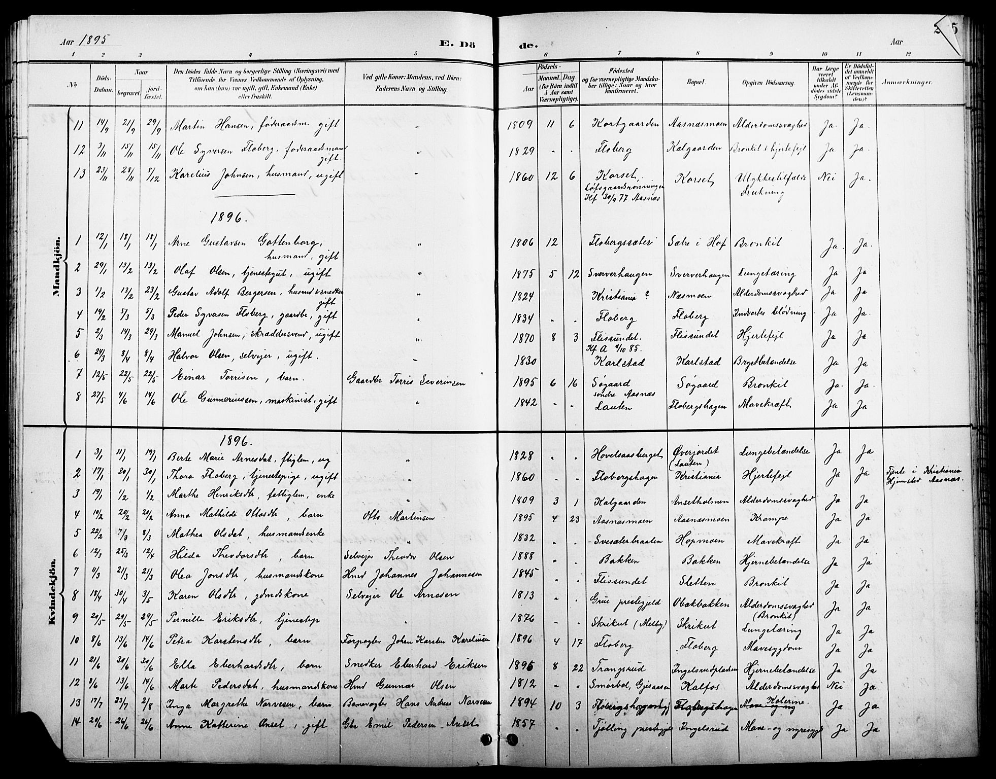 Åsnes prestekontor, SAH/PREST-042/H/Ha/Hab/L0004: Parish register (copy) no. 4, 1895-1909, p. 244