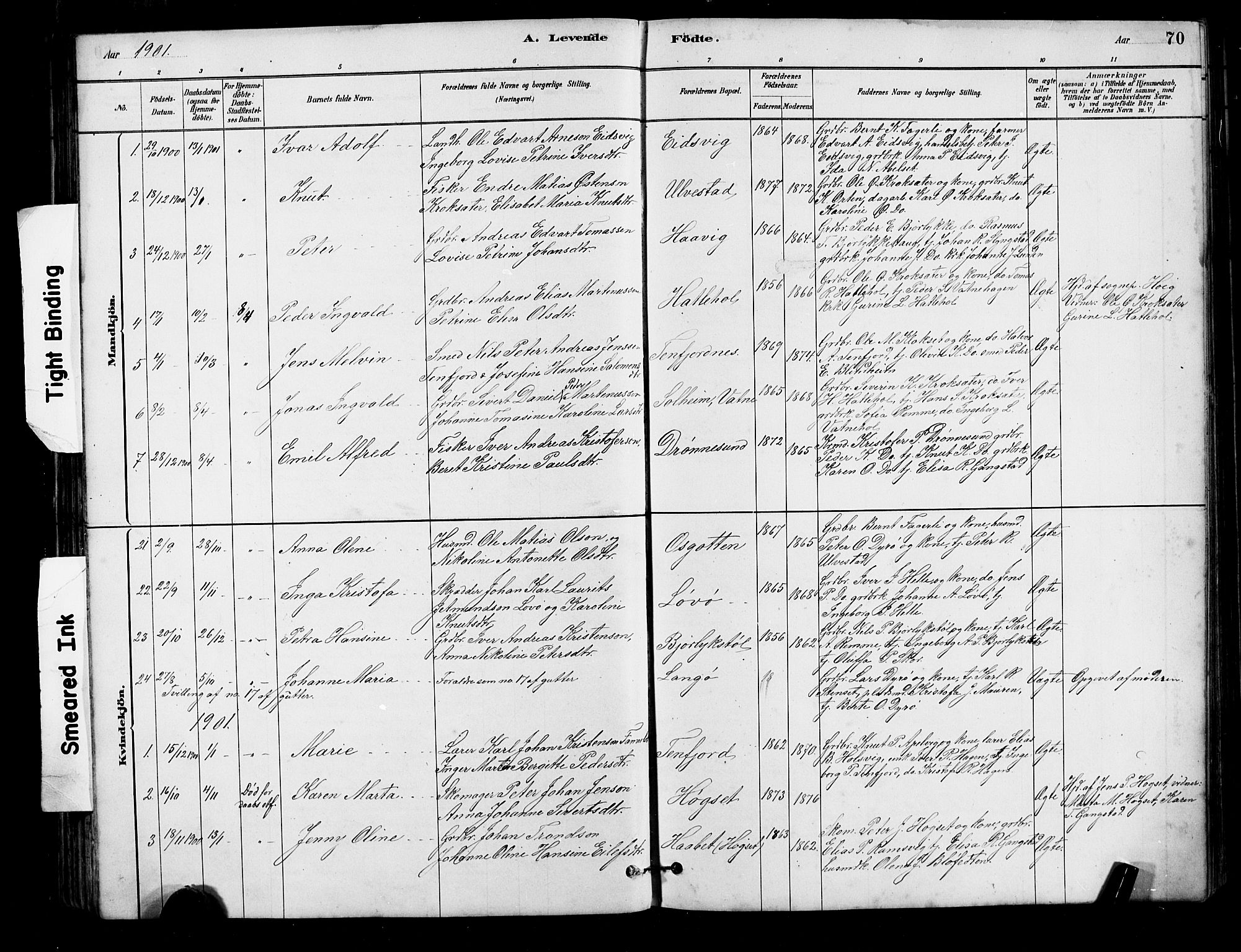 Ministerialprotokoller, klokkerbøker og fødselsregistre - Møre og Romsdal, AV/SAT-A-1454/525/L0376: Parish register (copy) no. 525C02, 1880-1902, p. 70