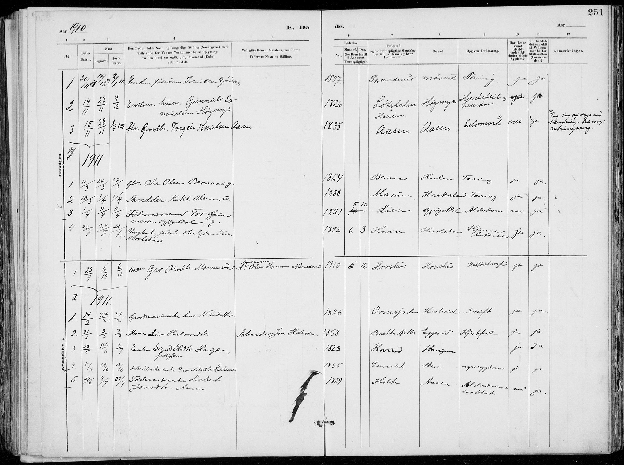 Tinn kirkebøker, SAKO/A-308/F/Fa/L0007: Parish register (official) no. I 7, 1878-1922, p. 251