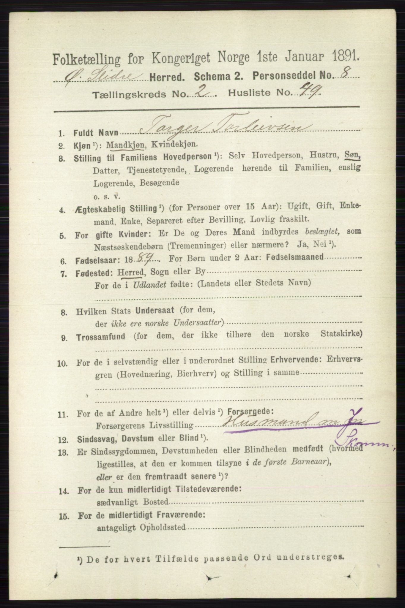 RA, 1891 census for 0544 Øystre Slidre, 1891, p. 539