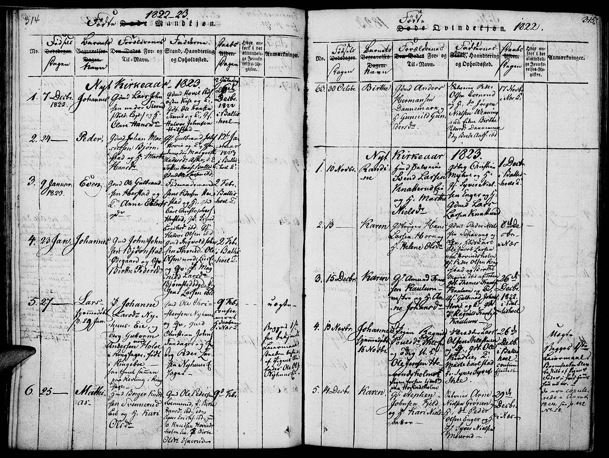 Nes prestekontor, Hedmark, AV/SAH-PREST-020/K/Ka/L0002: Parish register (official) no. 2, 1813-1827, p. 314-315