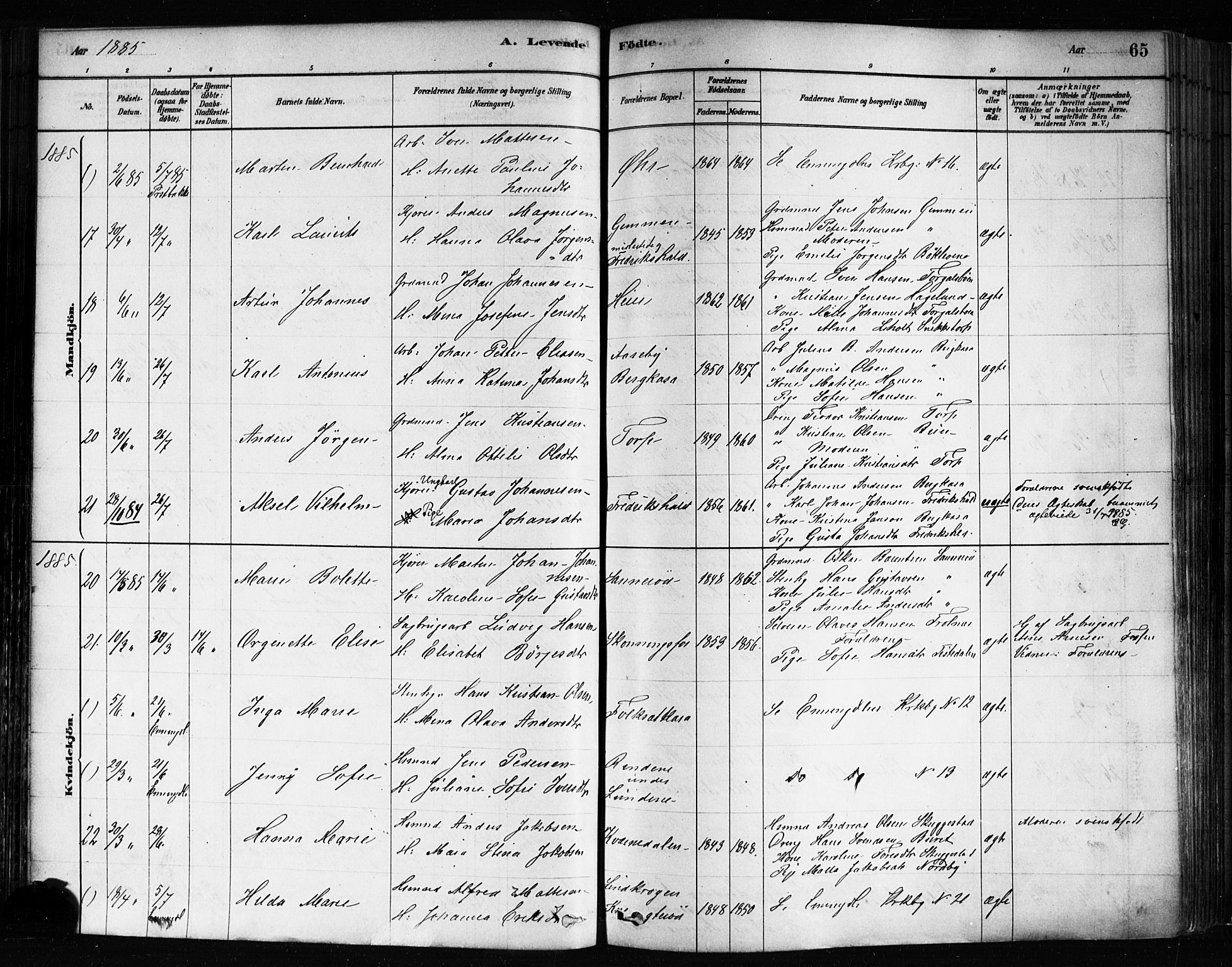 Idd prestekontor Kirkebøker, AV/SAO-A-10911/F/Fc/L0006a: Parish register (official) no. III 6A, 1878-1903, p. 65