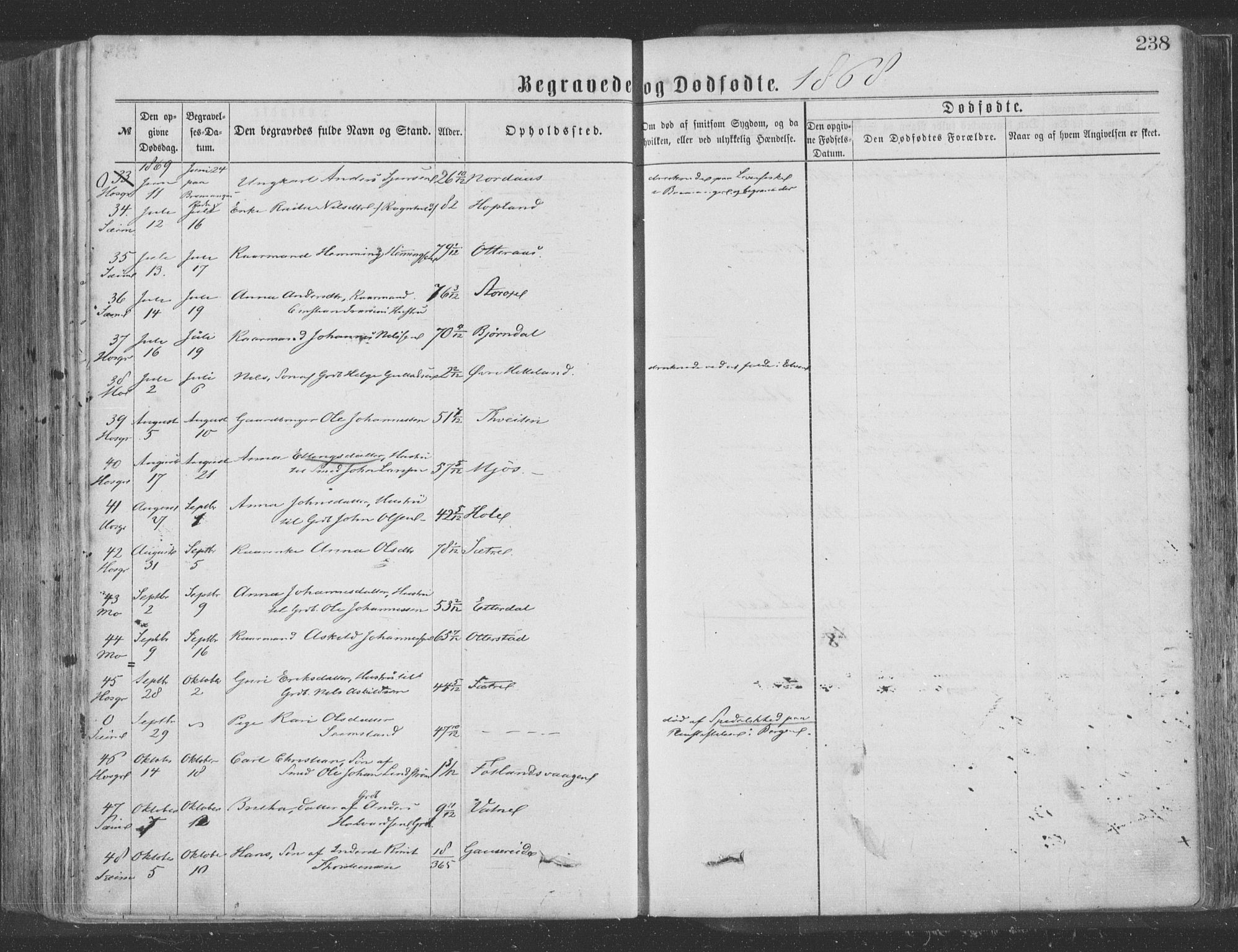 Hosanger sokneprestembete, AV/SAB-A-75801/H/Haa: Parish register (official) no. A 9, 1864-1876, p. 238