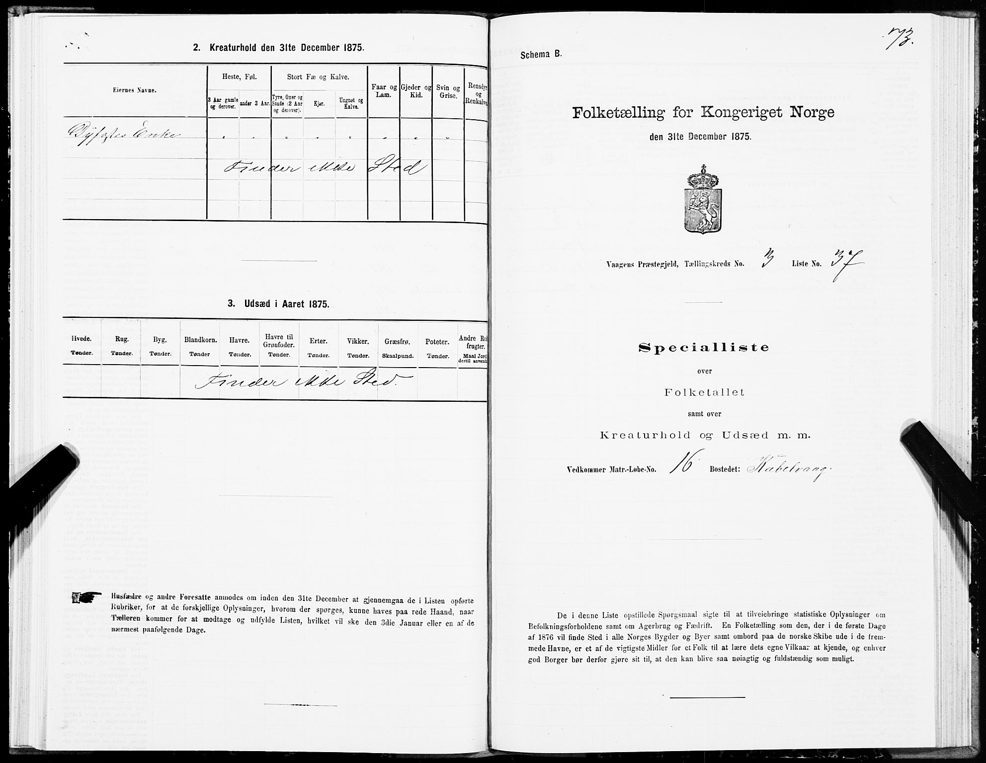 SAT, 1875 census for 1865P Vågan, 1875, p. 2073