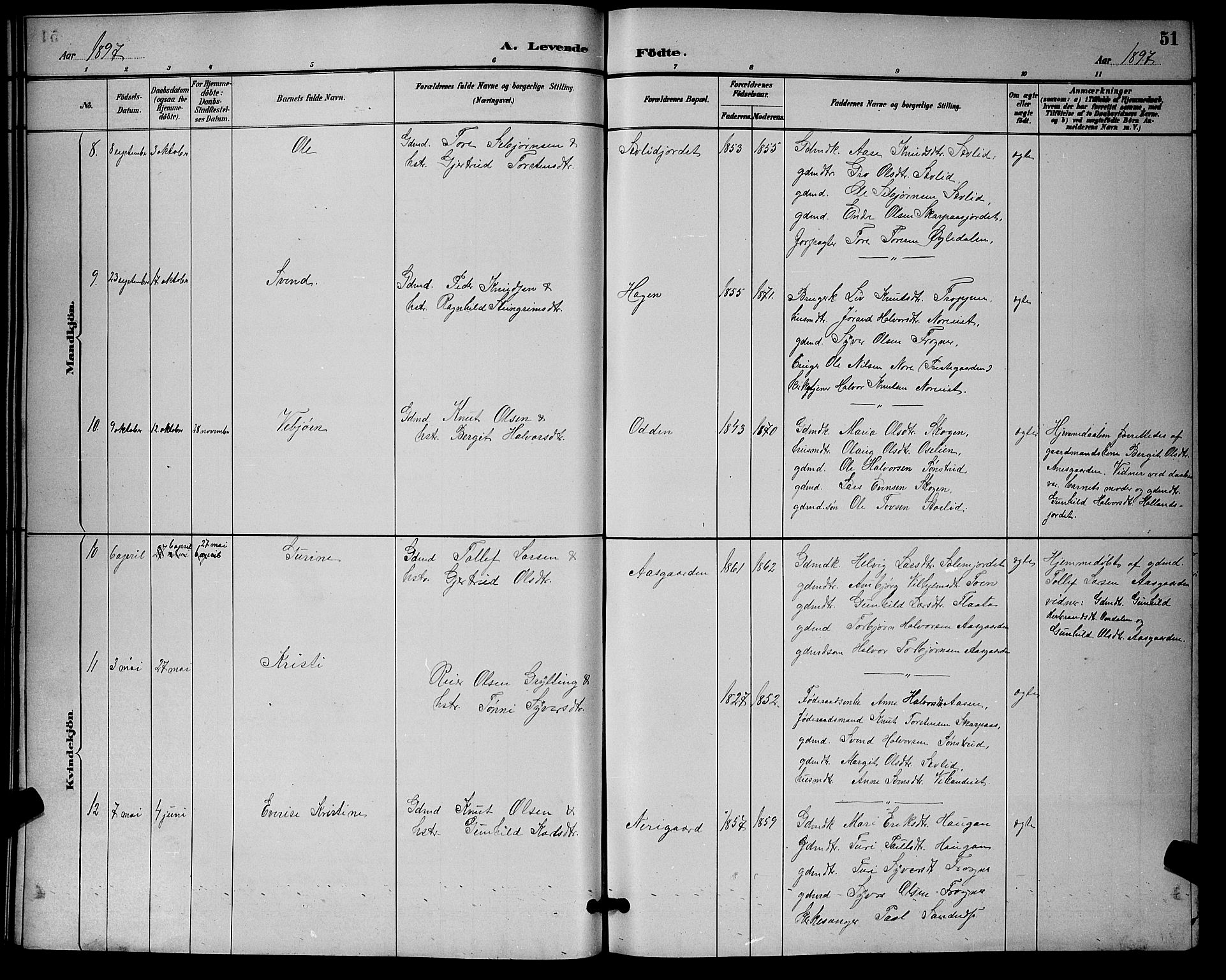 Nore kirkebøker, AV/SAKO-A-238/G/Ga/L0003: Parish register (copy) no. I 3, 1886-1903, p. 51