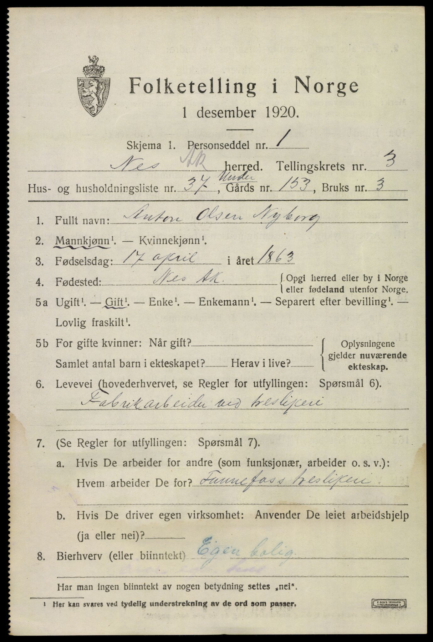 SAO, 1920 census for Nes, 1920, p. 6212