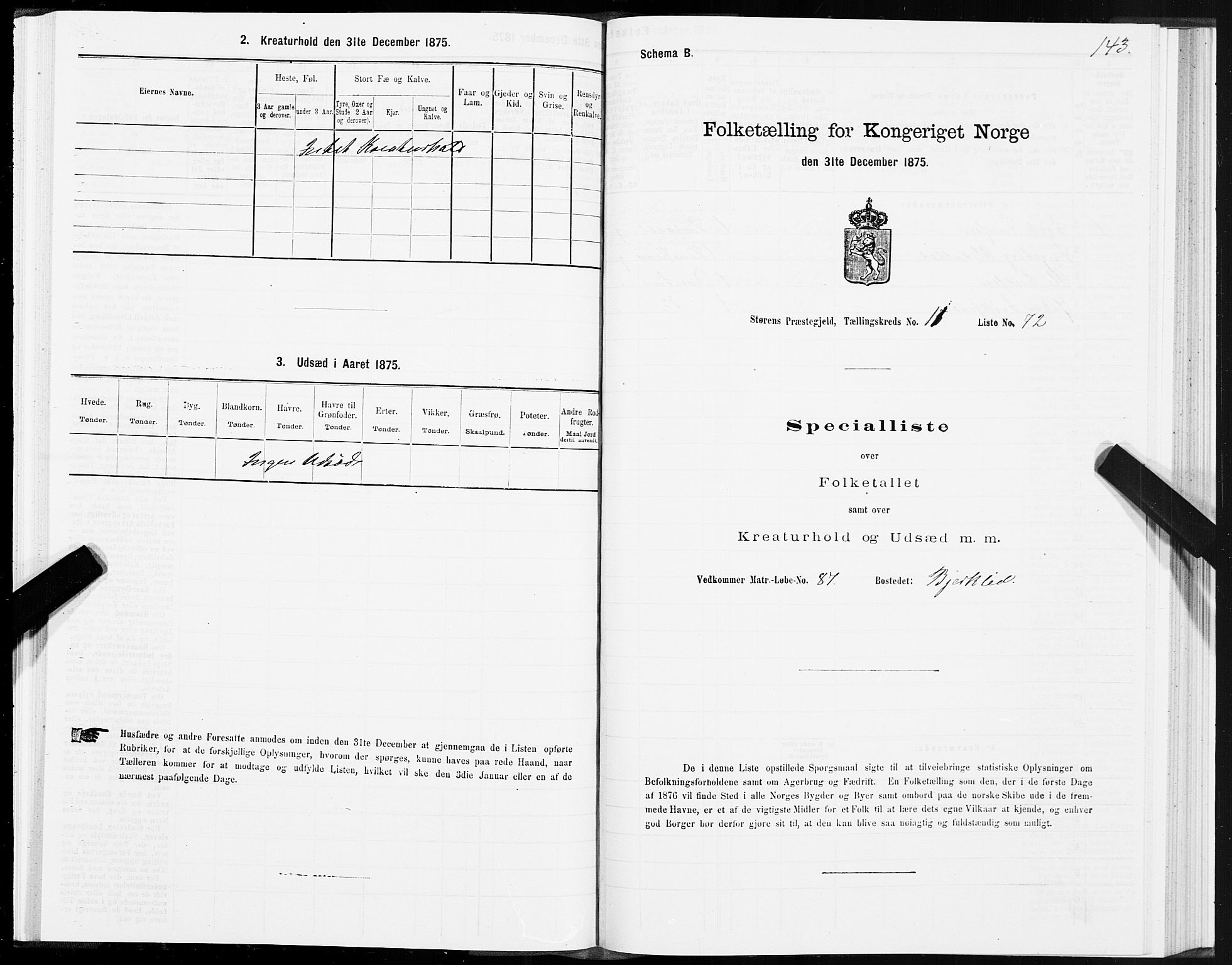 SAT, 1875 census for 1648P Støren, 1875, p. 6143