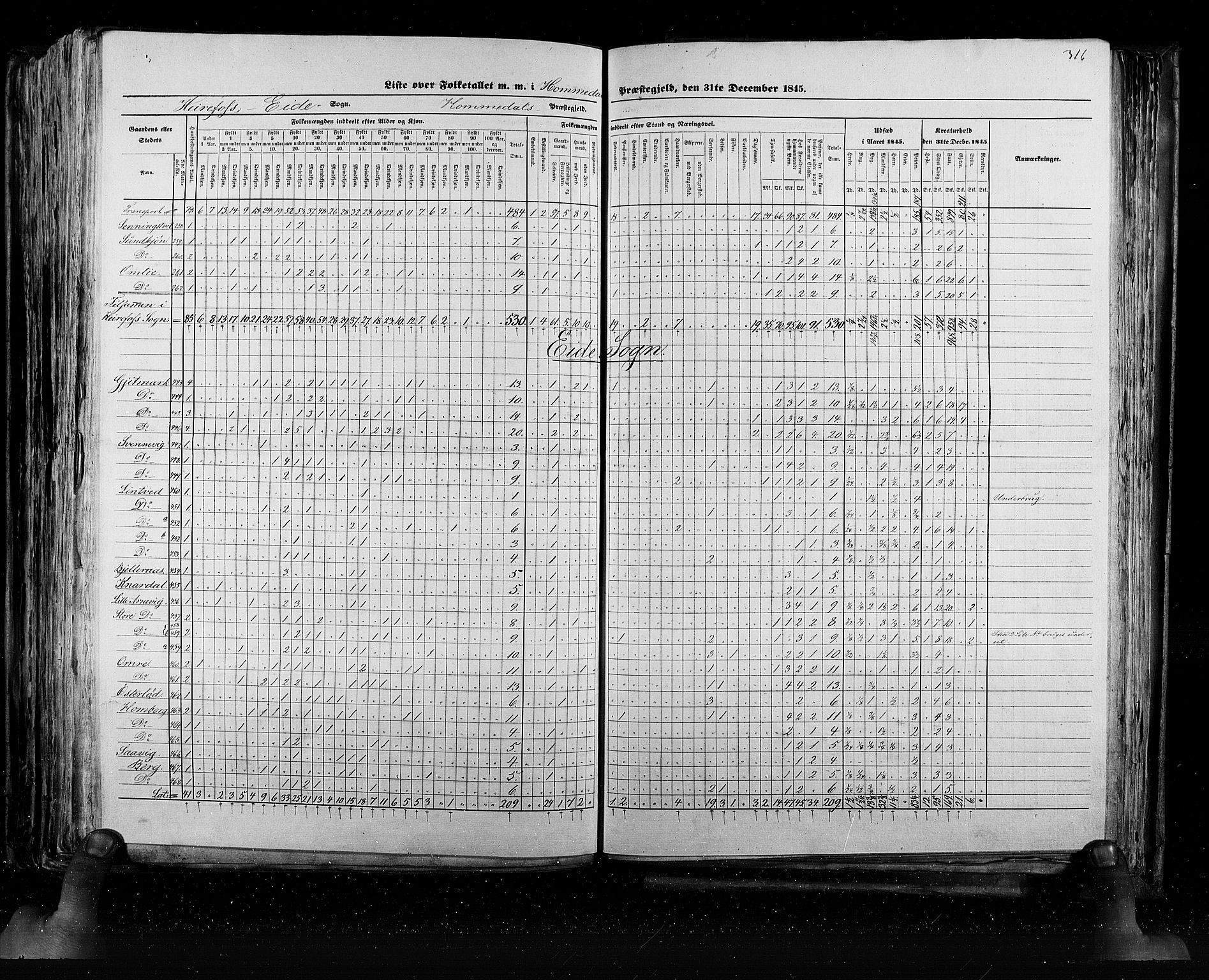 RA, Census 1845, vol. 5: Bratsberg amt og Nedenes og Råbyggelaget amt, 1845, p. 316