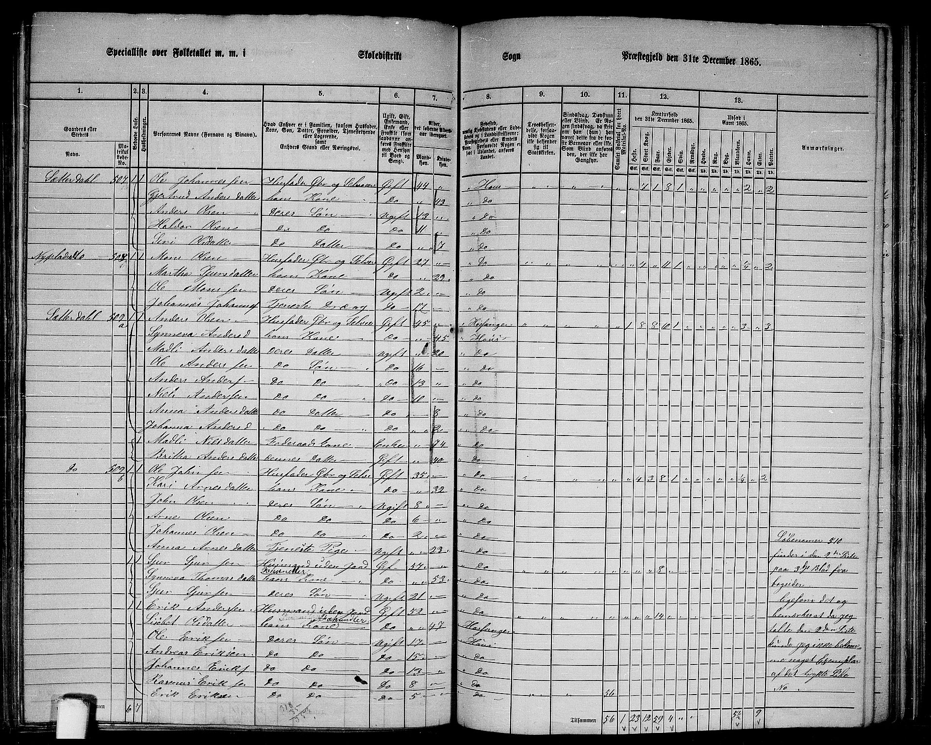 RA, 1865 census for Haus, 1865, p. 200