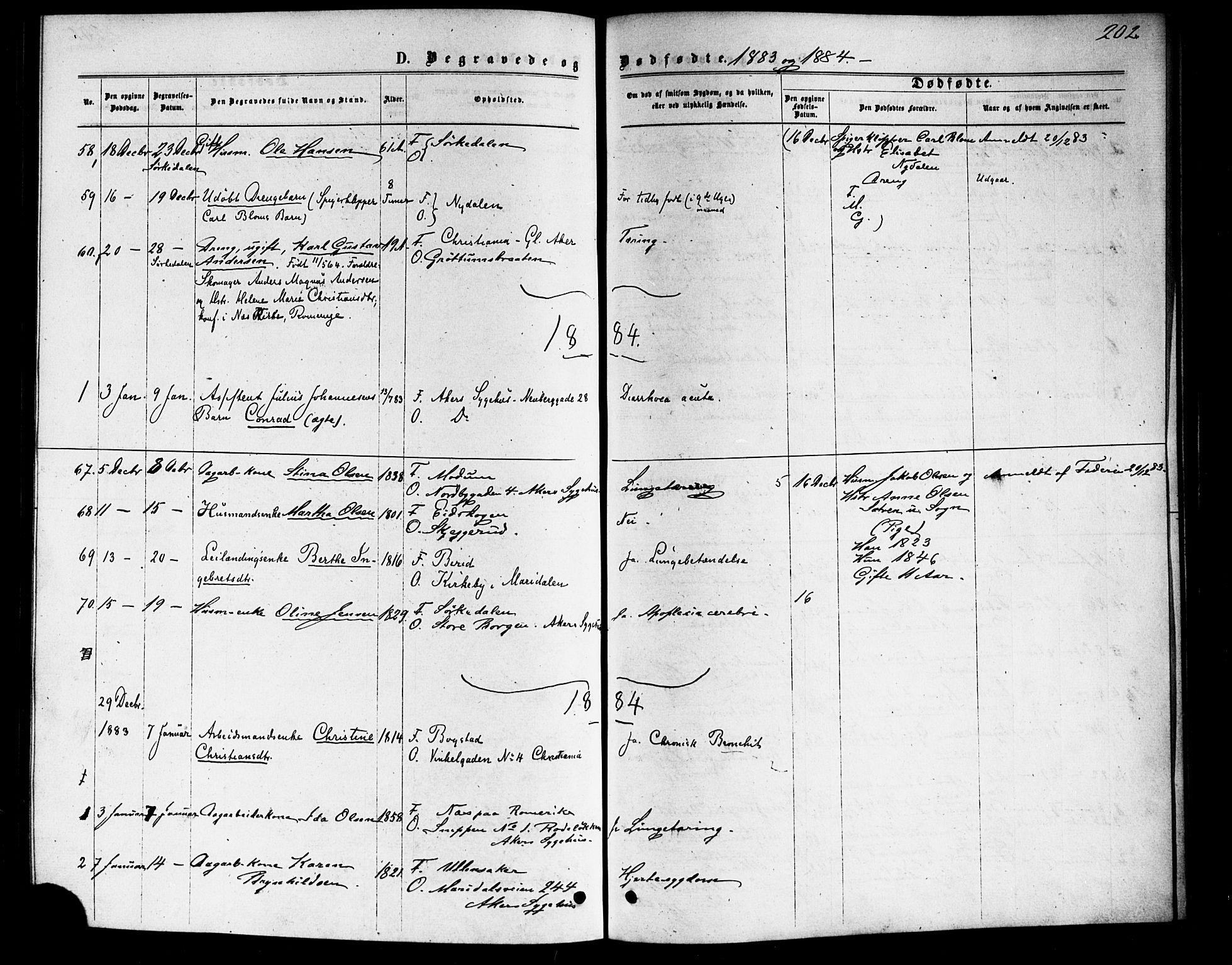 Vestre Aker prestekontor Kirkebøker, SAO/A-10025/F/Fa/L0006: Parish register (official) no. 6, 1873-1886, p. 202