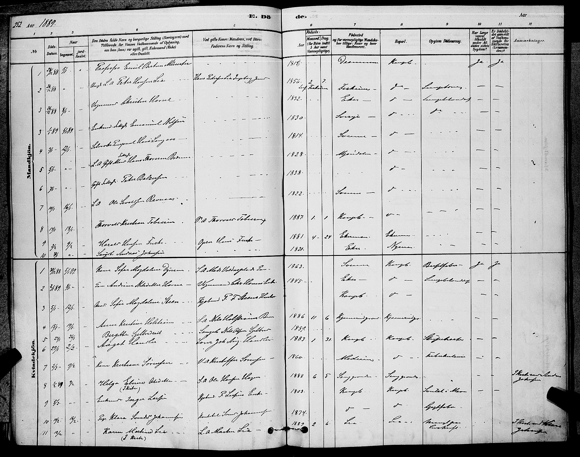 Kongsberg kirkebøker, SAKO/A-22/G/Ga/L0005: Parish register (copy) no. 5, 1878-1889, p. 252