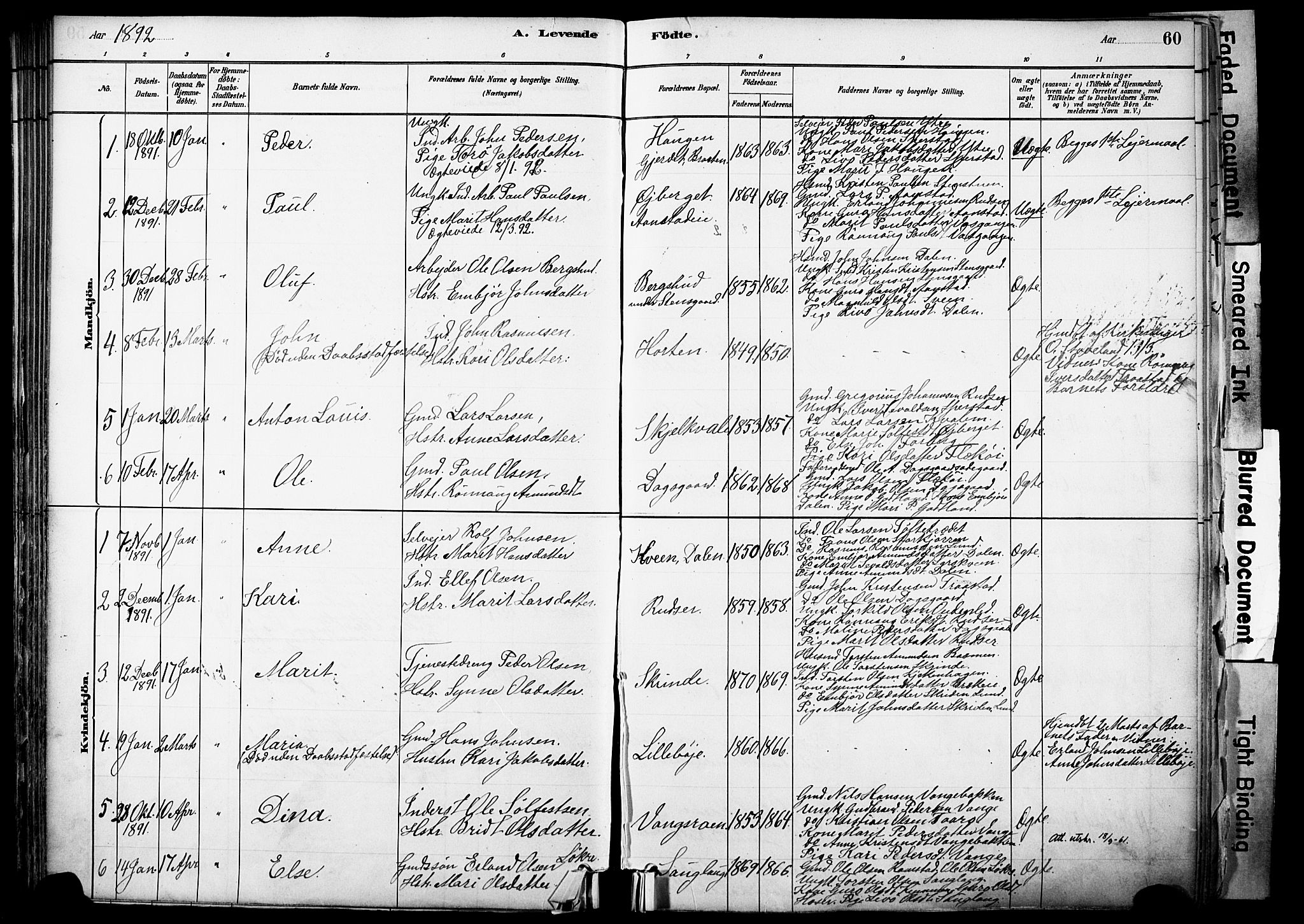 Skjåk prestekontor, SAH/PREST-072/H/Ha/Haa/L0003: Parish register (official) no. 3, 1880-1907, p. 60