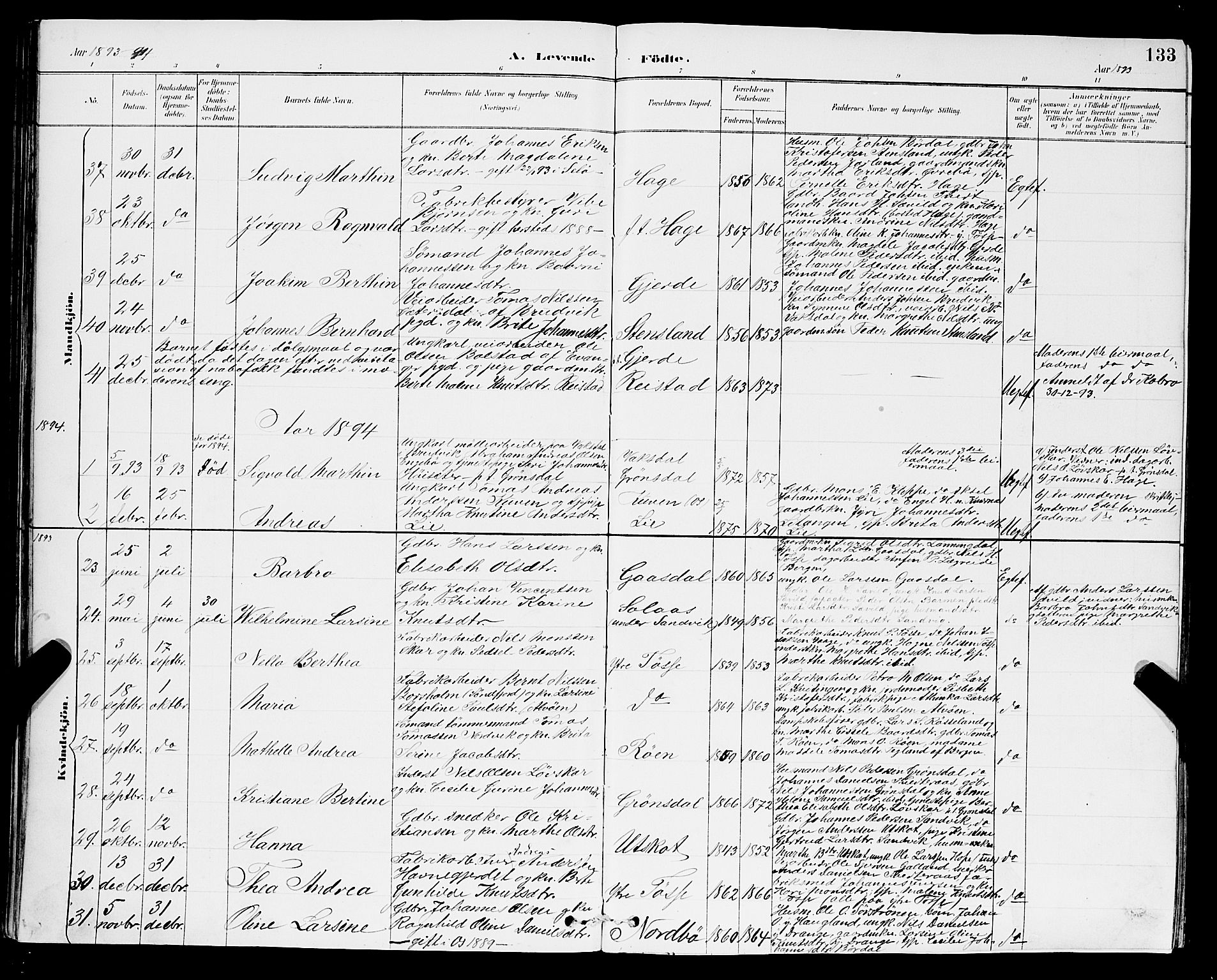 Samnanger Sokneprestembete, SAB/A-77501/H/Hab: Parish register (copy) no. A 2, 1879-1897, p. 133