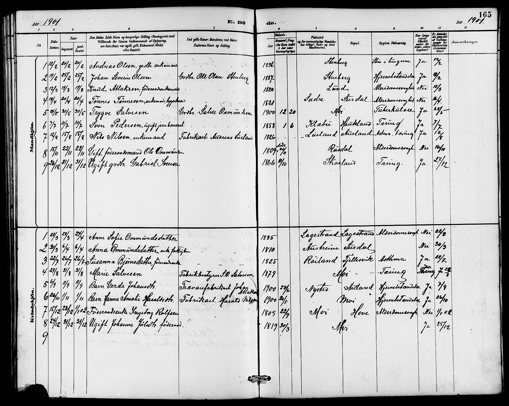 Lund sokneprestkontor, AV/SAST-A-101809/S07/L0006: Parish register (copy) no. B 6, 1885-1901, p. 165