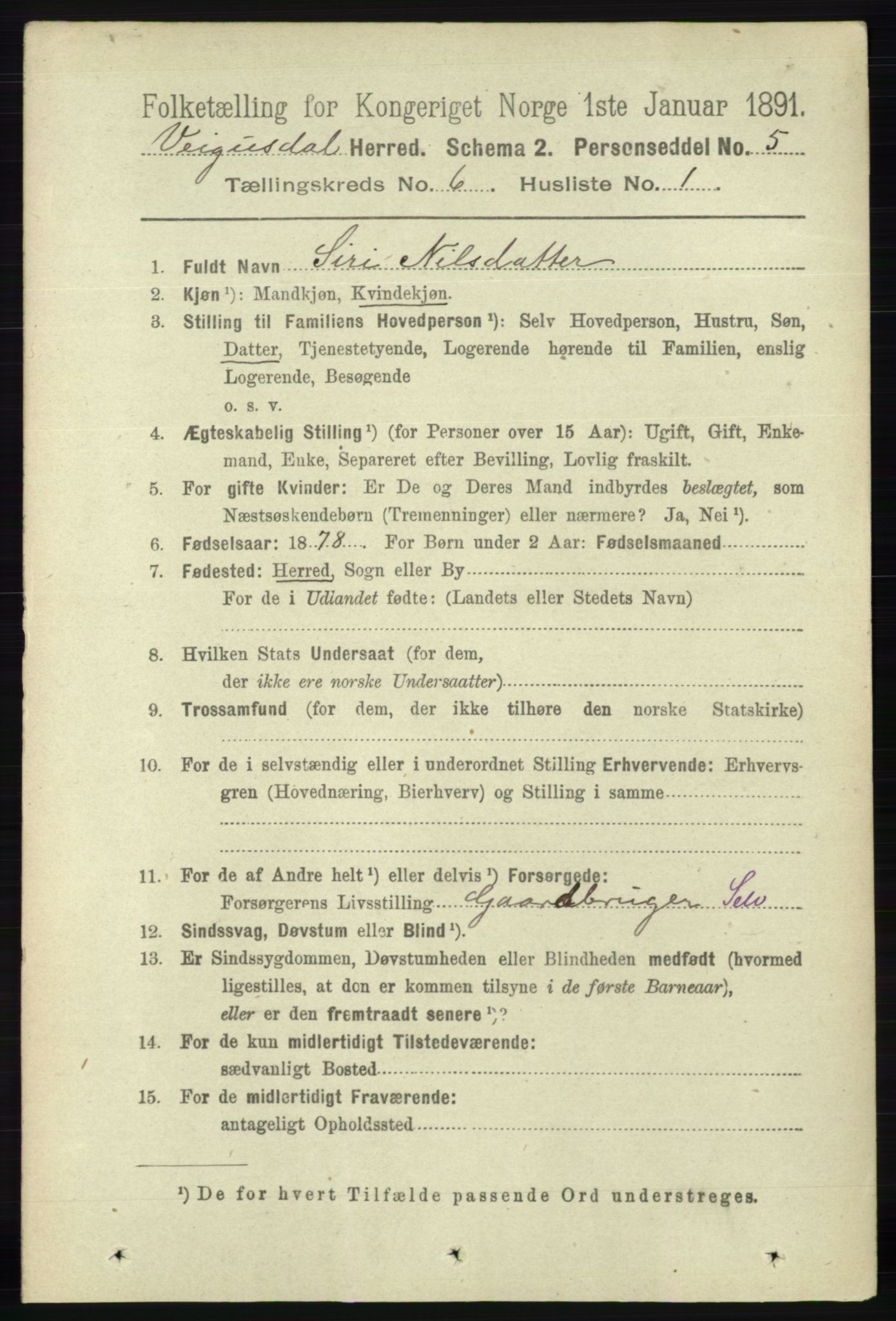 RA, 1891 census for 0934 Vegusdal, 1891, p. 1083