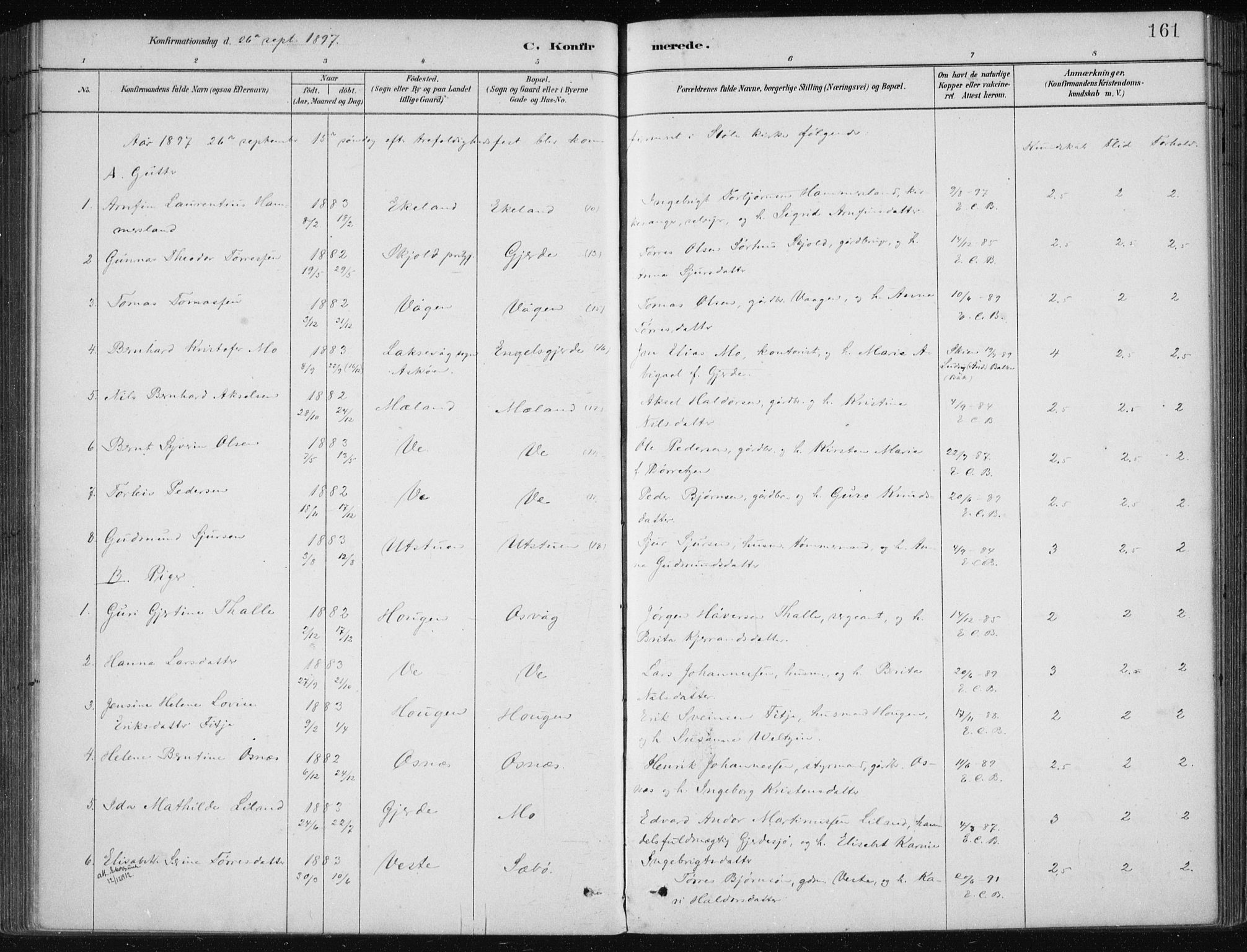 Etne sokneprestembete, AV/SAB-A-75001/H/Haa: Parish register (official) no. C  1, 1879-1919, p. 161